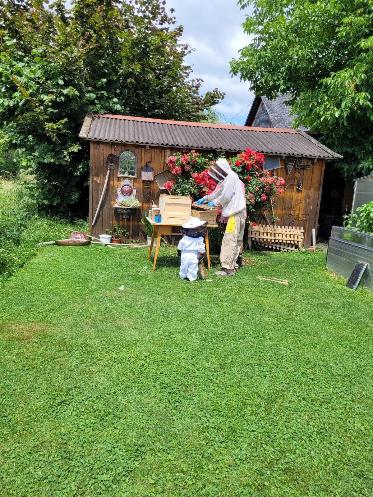 Bienenvölker Zander 2