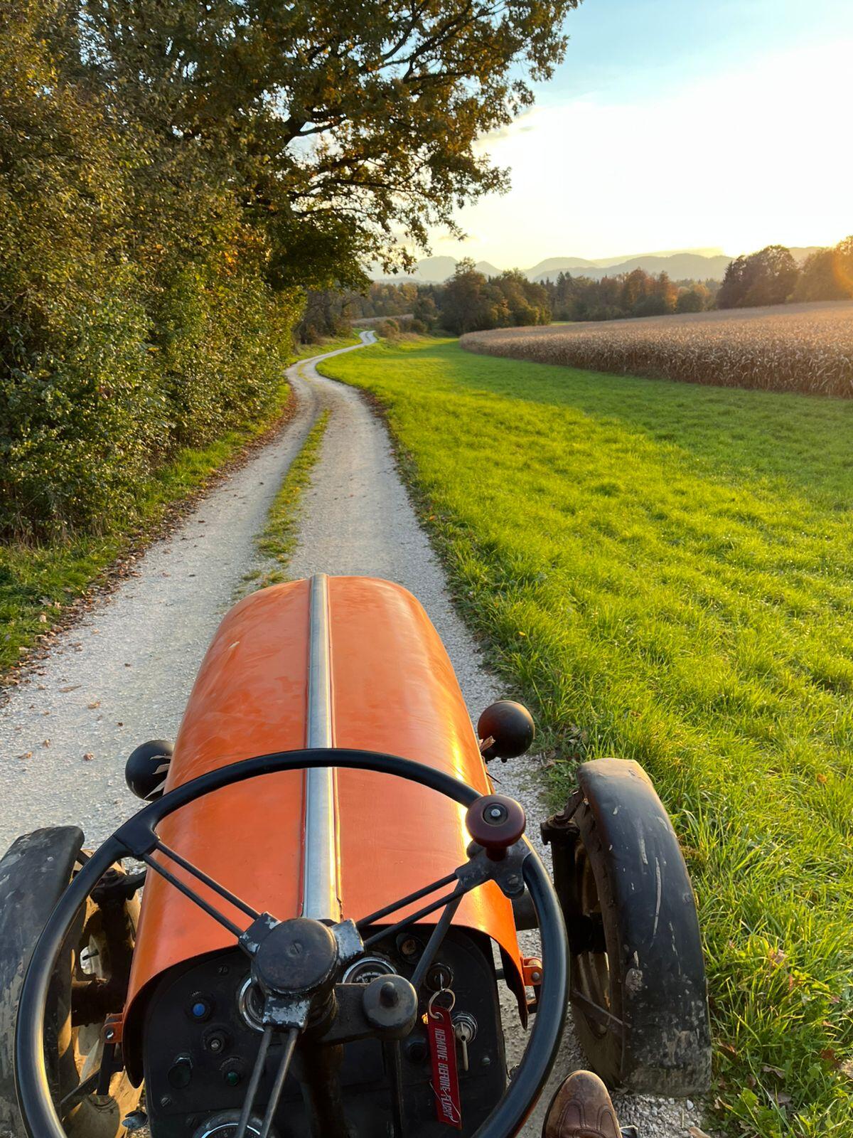 Steyr T188 n inkl. hydraulischer Mulde neues Pickerl! 3