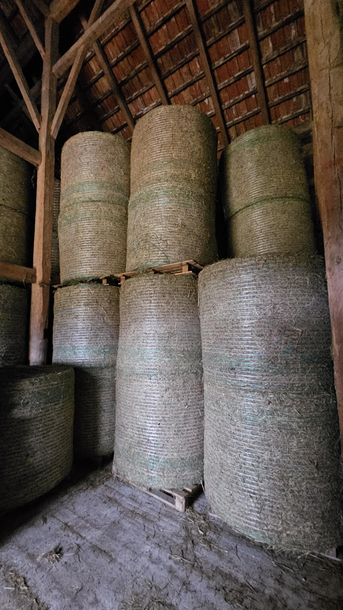 Heurundballen, Pferdeheu, BIO AUSTRIA 3