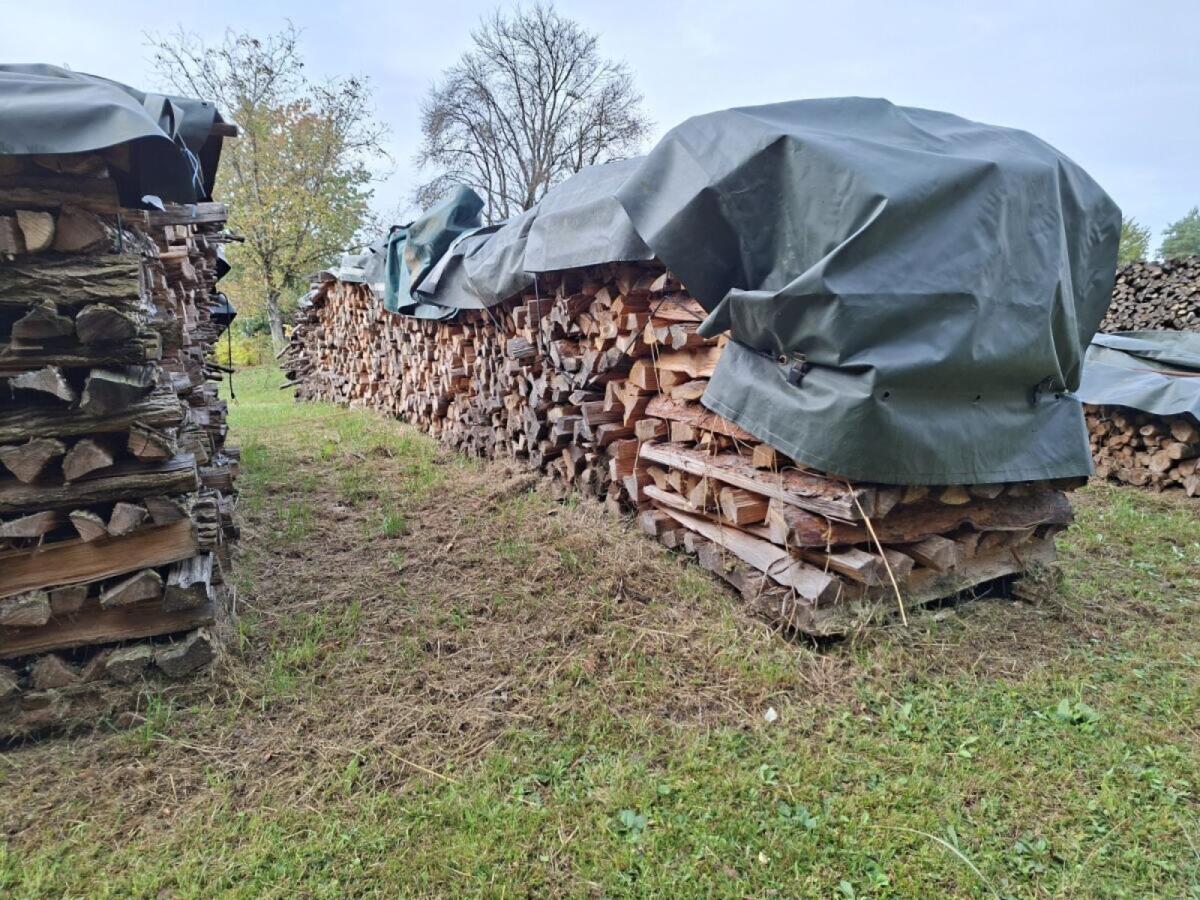Brennholz, 20 m, Holz 2