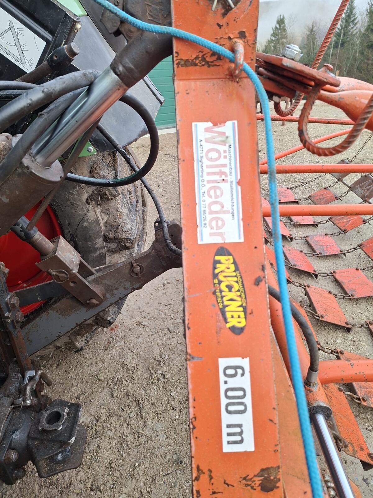 Wiesenegge Wölfleder 6m 3