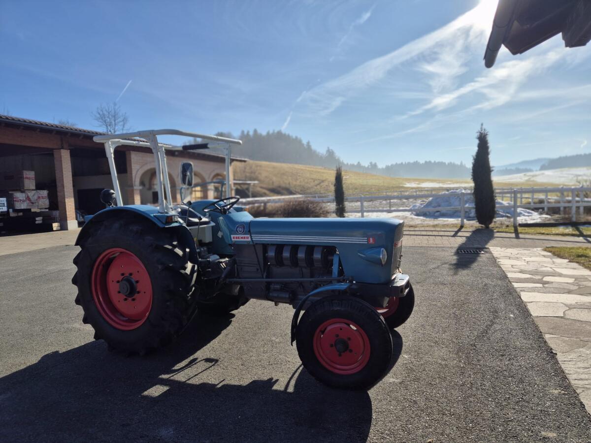 Eicher Königstiger 2