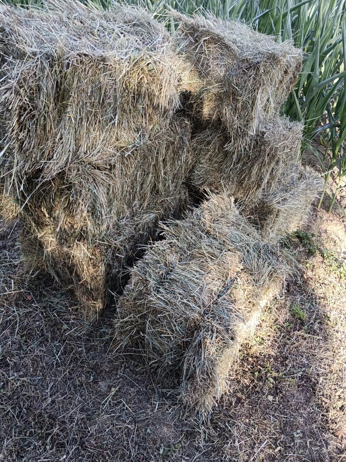 Heu in Kleinballen 2