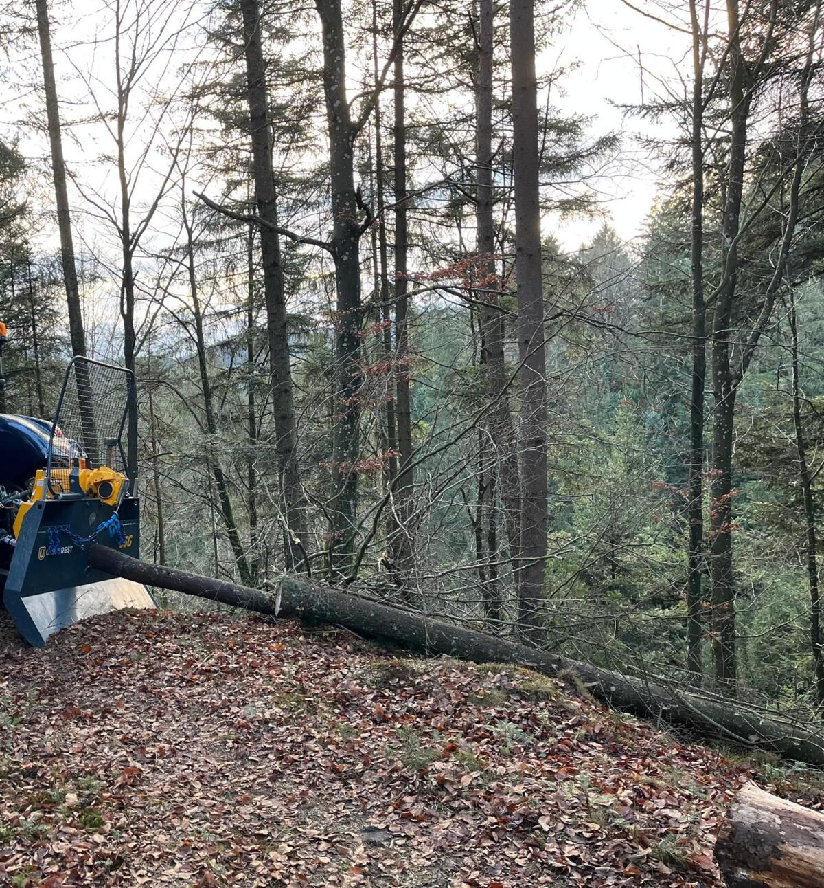 Uniforest 65G Seilwinde mit Funk 2