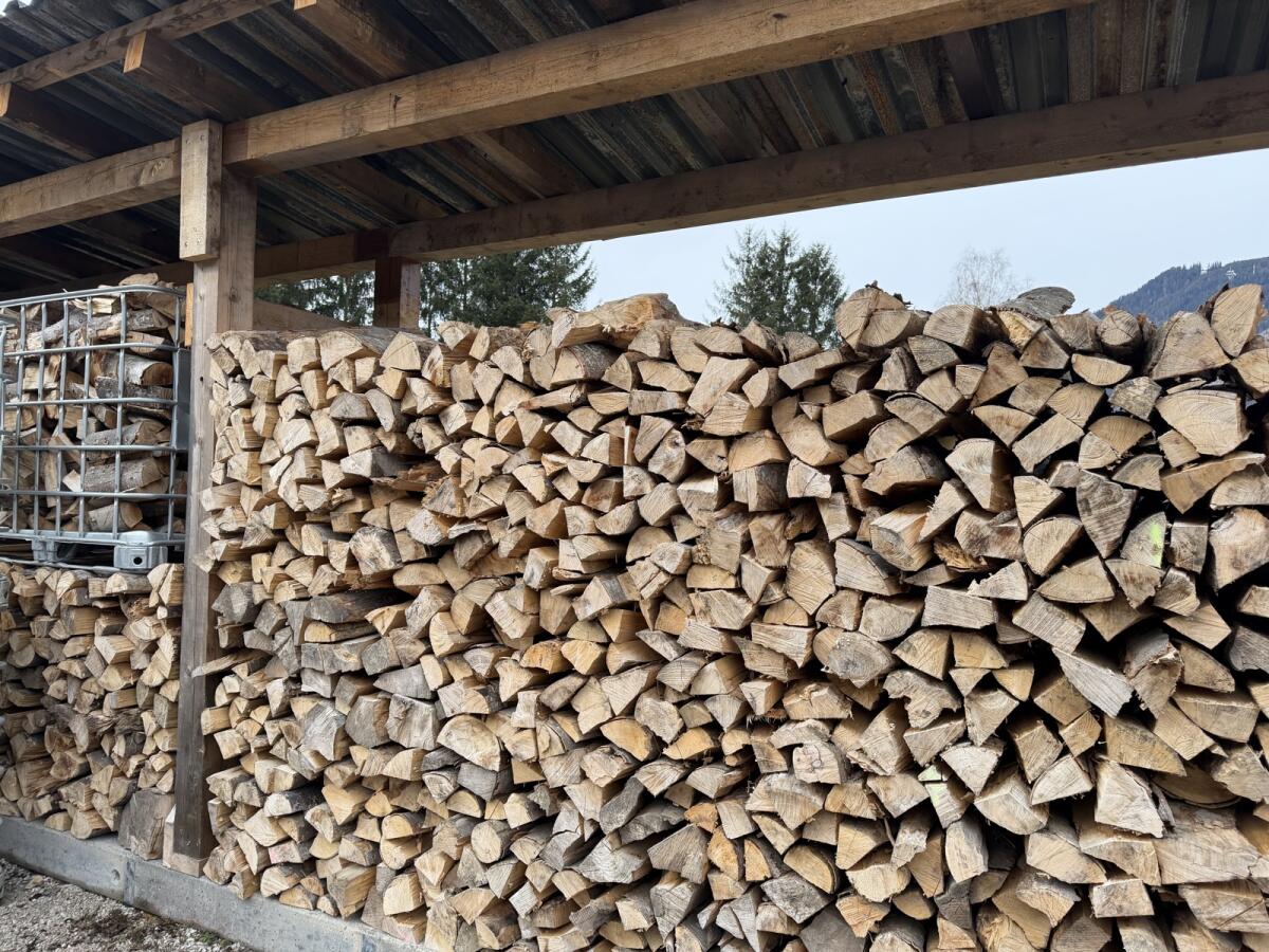 Brennholz 2
