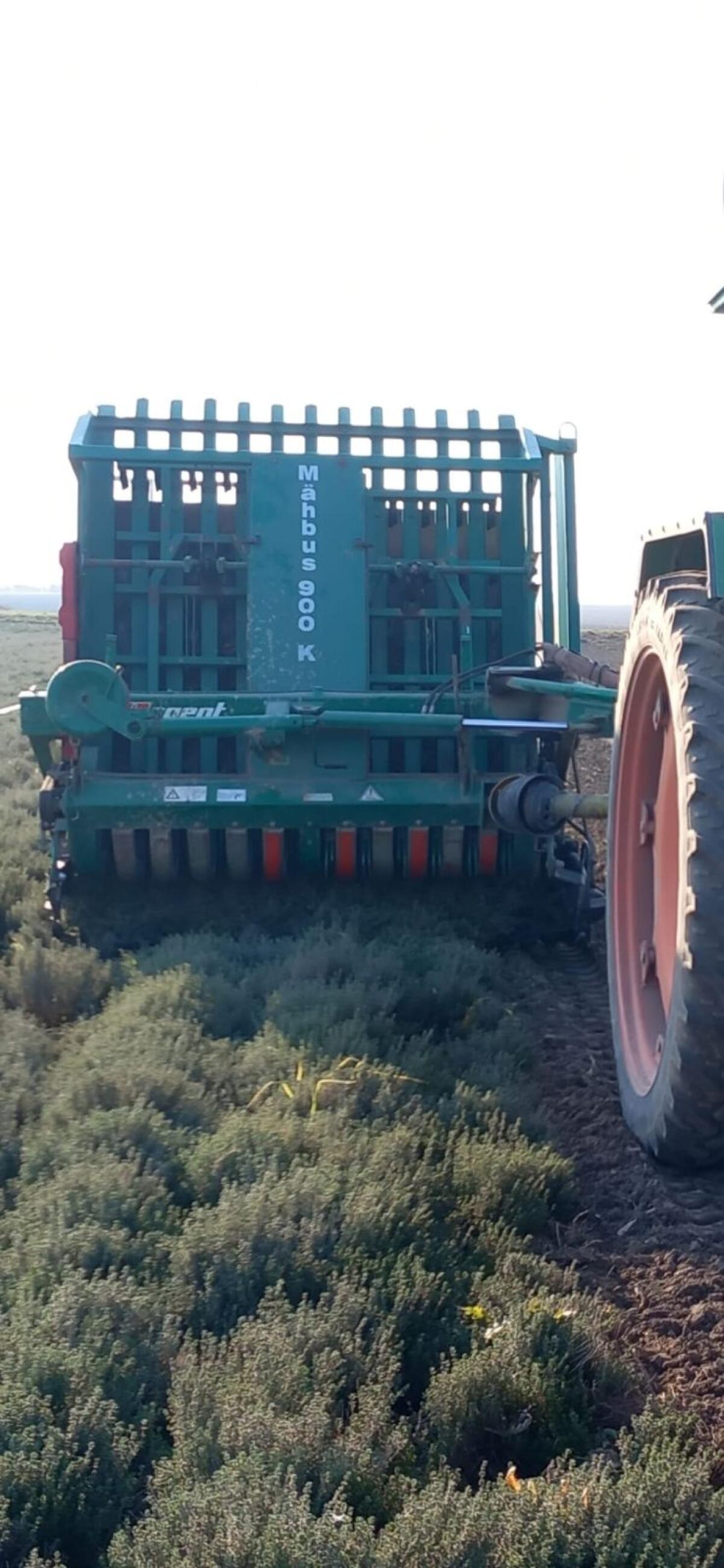 Regent Mähbus 900K 3