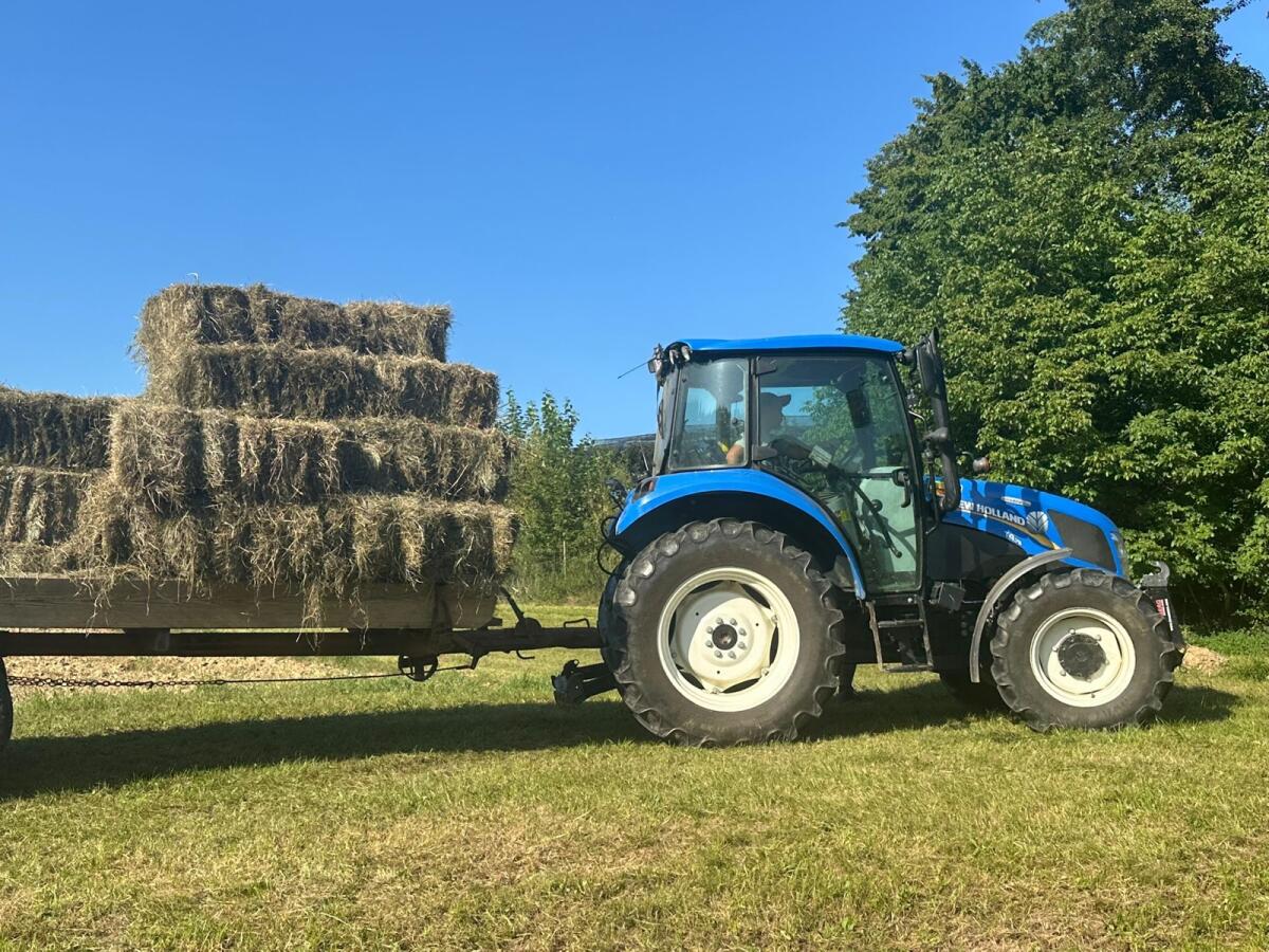 Verkaufe Heuballen 3