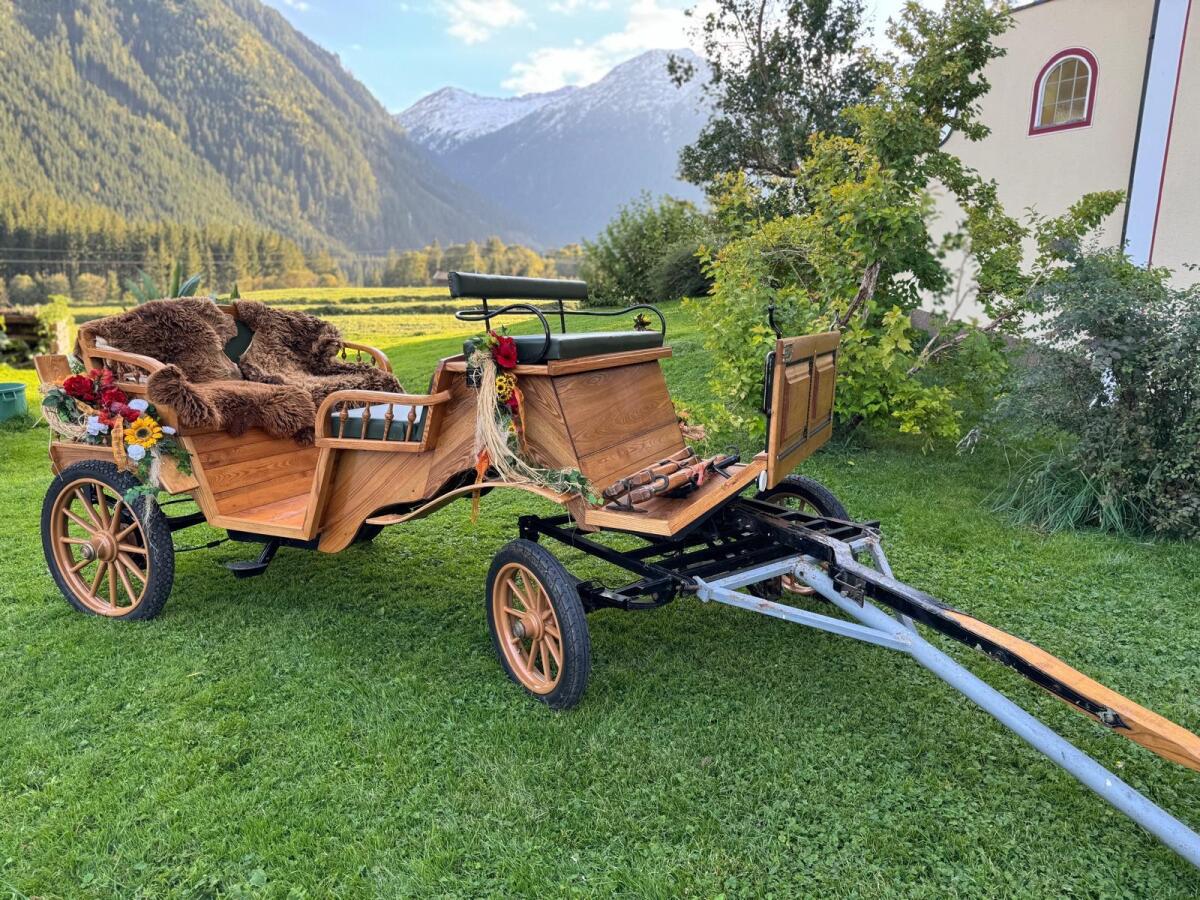 Verkaufe Pferdekutsche 2