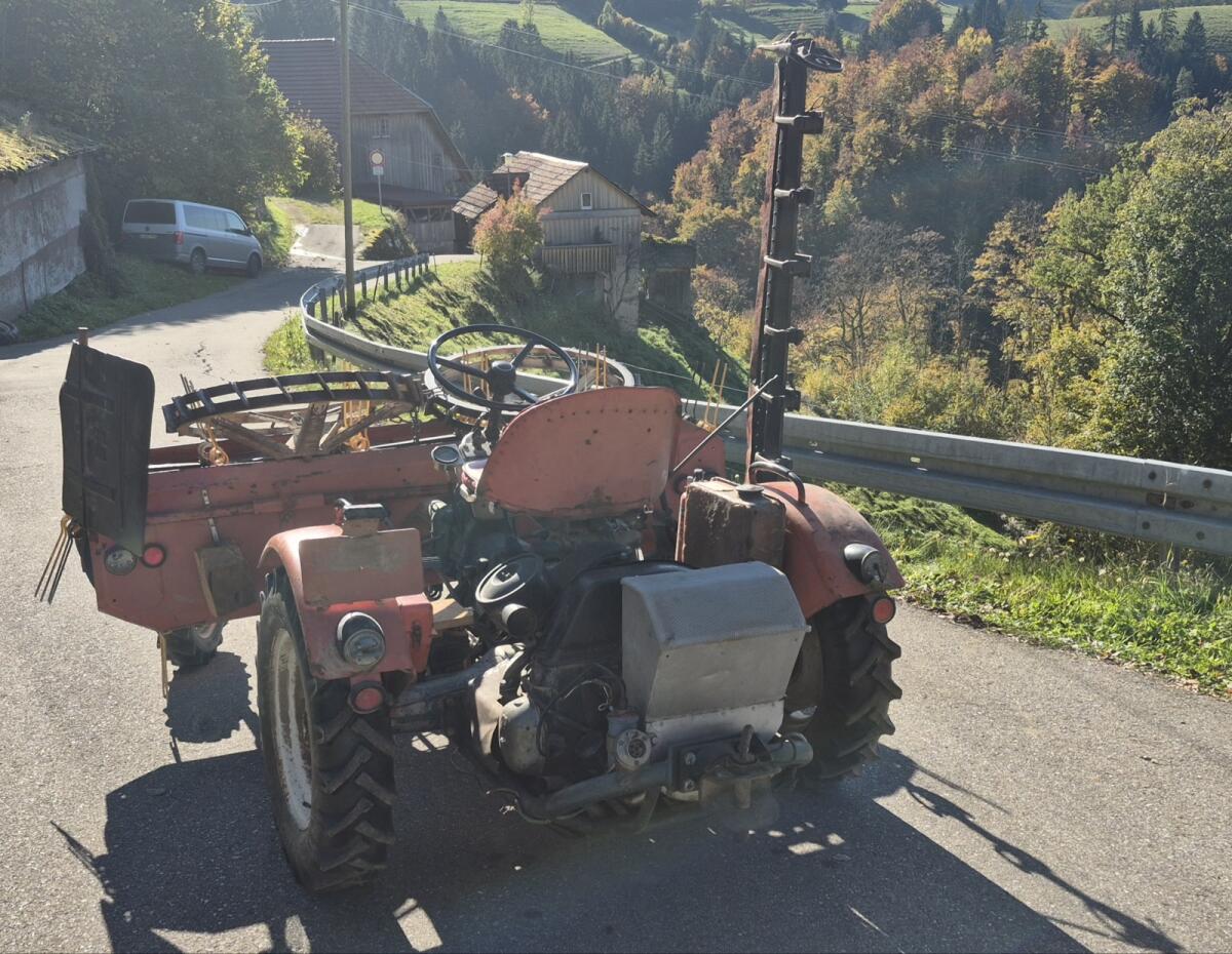 Reform 2000, Aufsitzmäher, Doppelmessermähwerk, Bandheuer 3