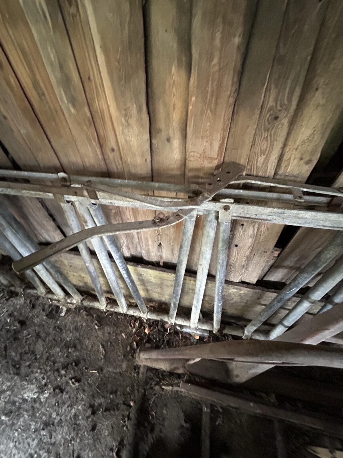 Jungvieh Fressgitter 3