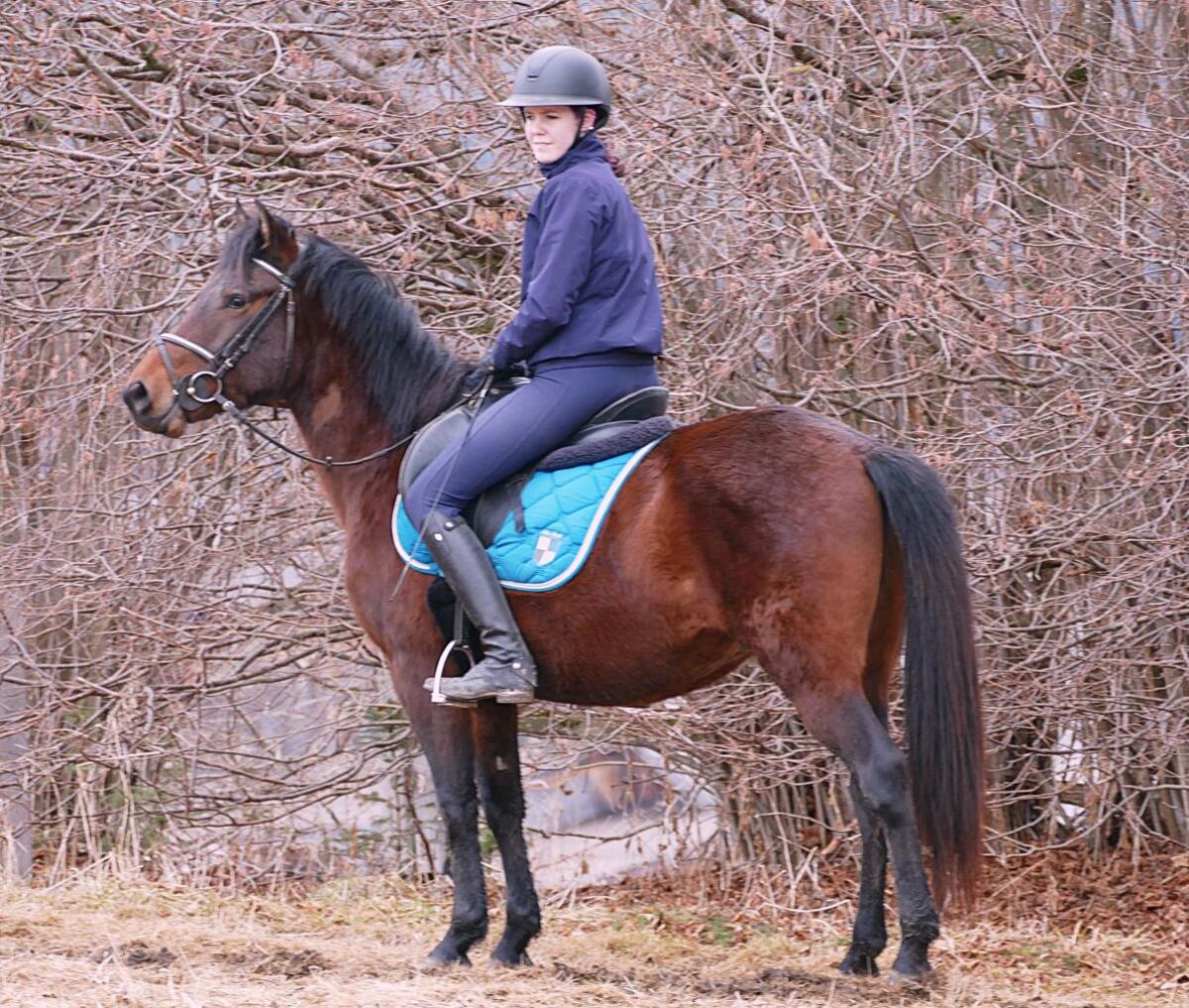 Ein Allrounder für die Zukunft 3