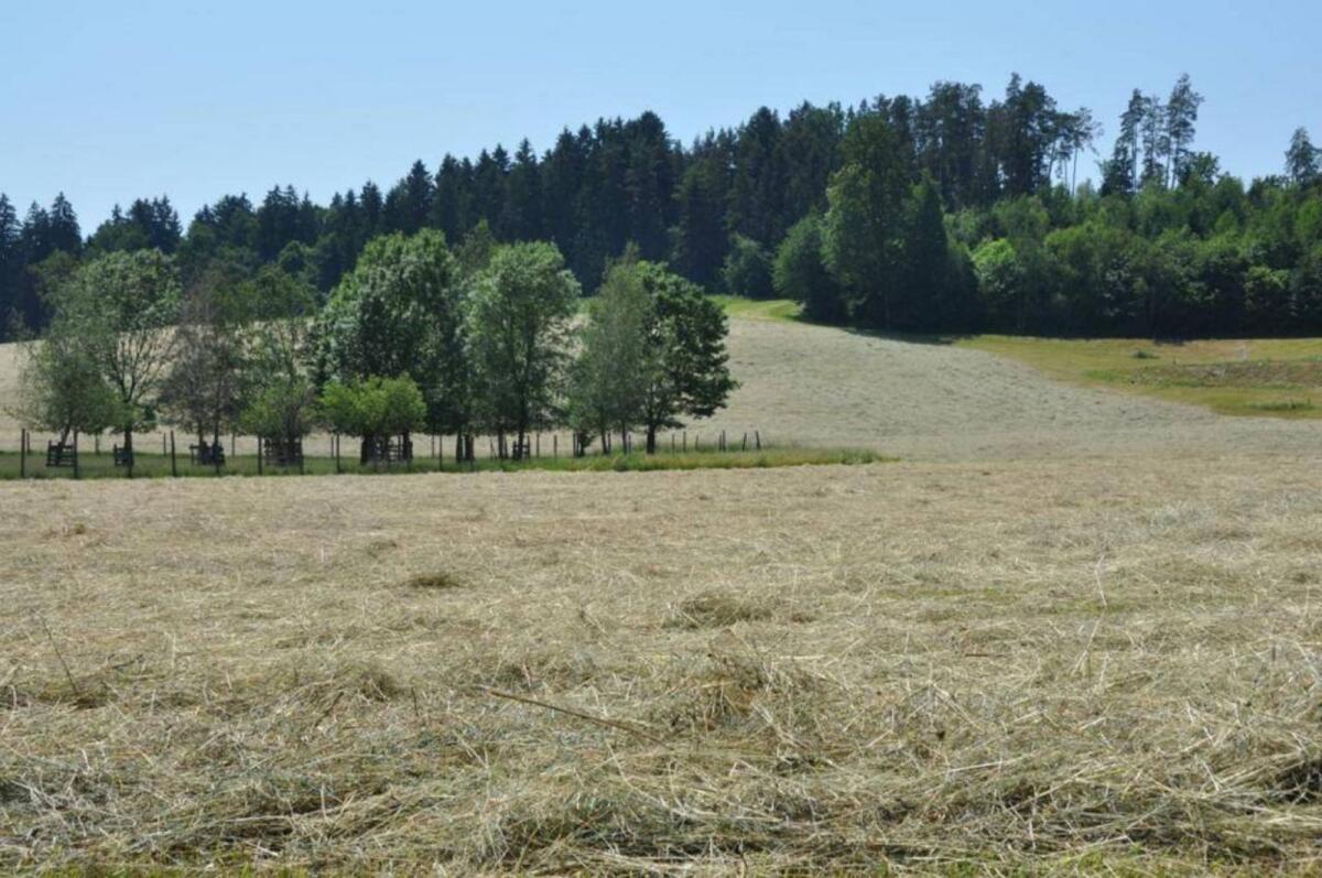 Heu Rundballen Pferdeheu Heuballen 2