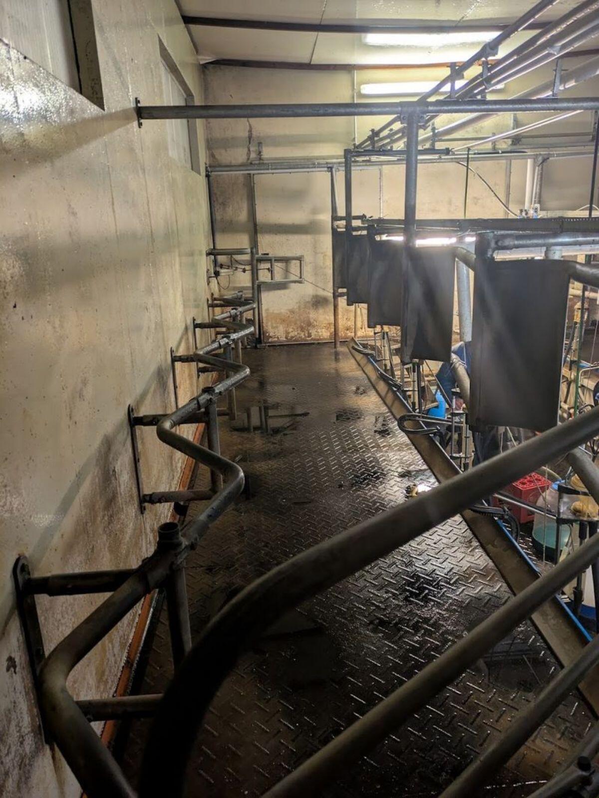 Melkstand 2x5 Ausstallung Happel, Melktechnik SAC 3