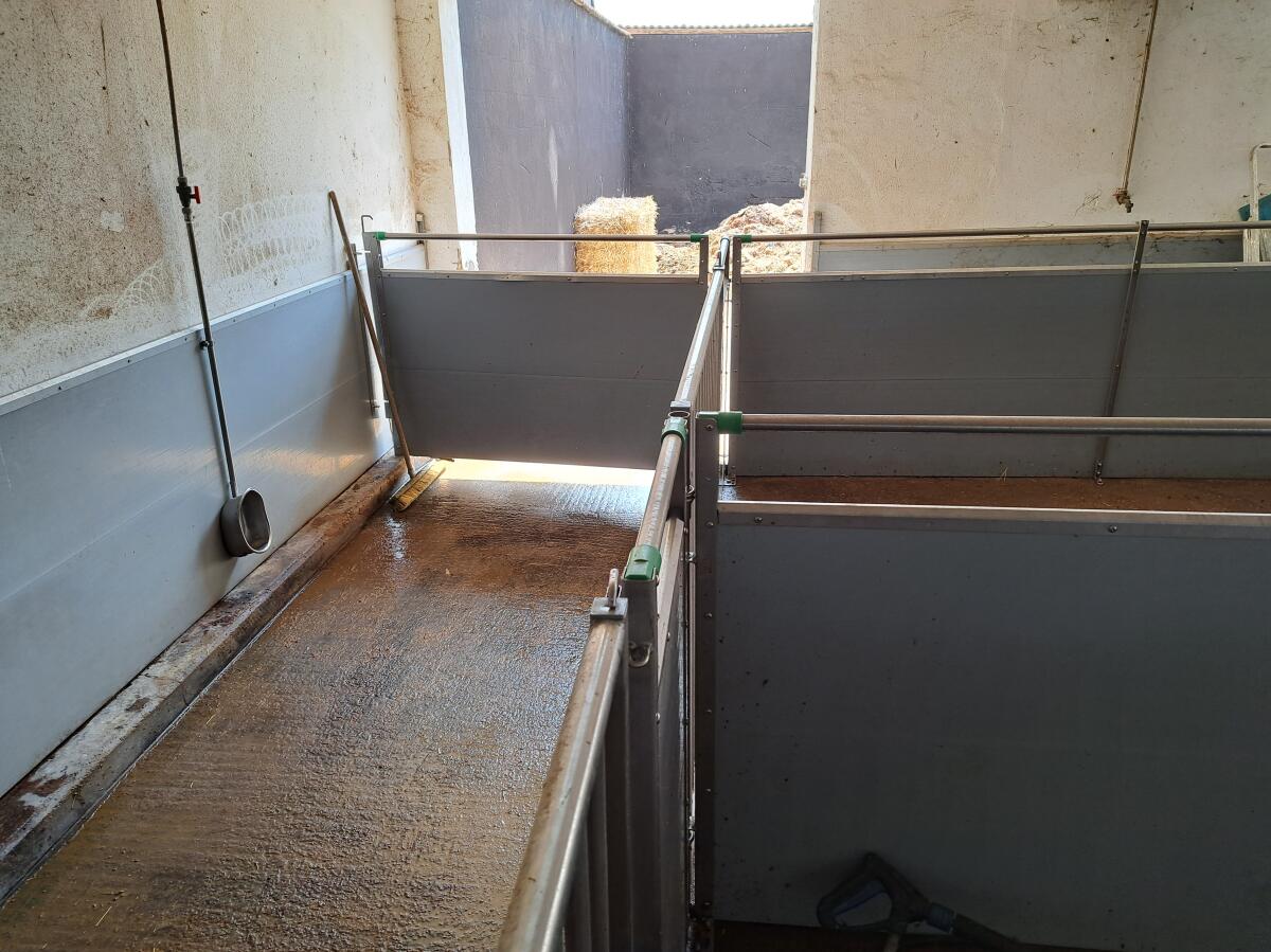 Schweinestallaufstallung 2