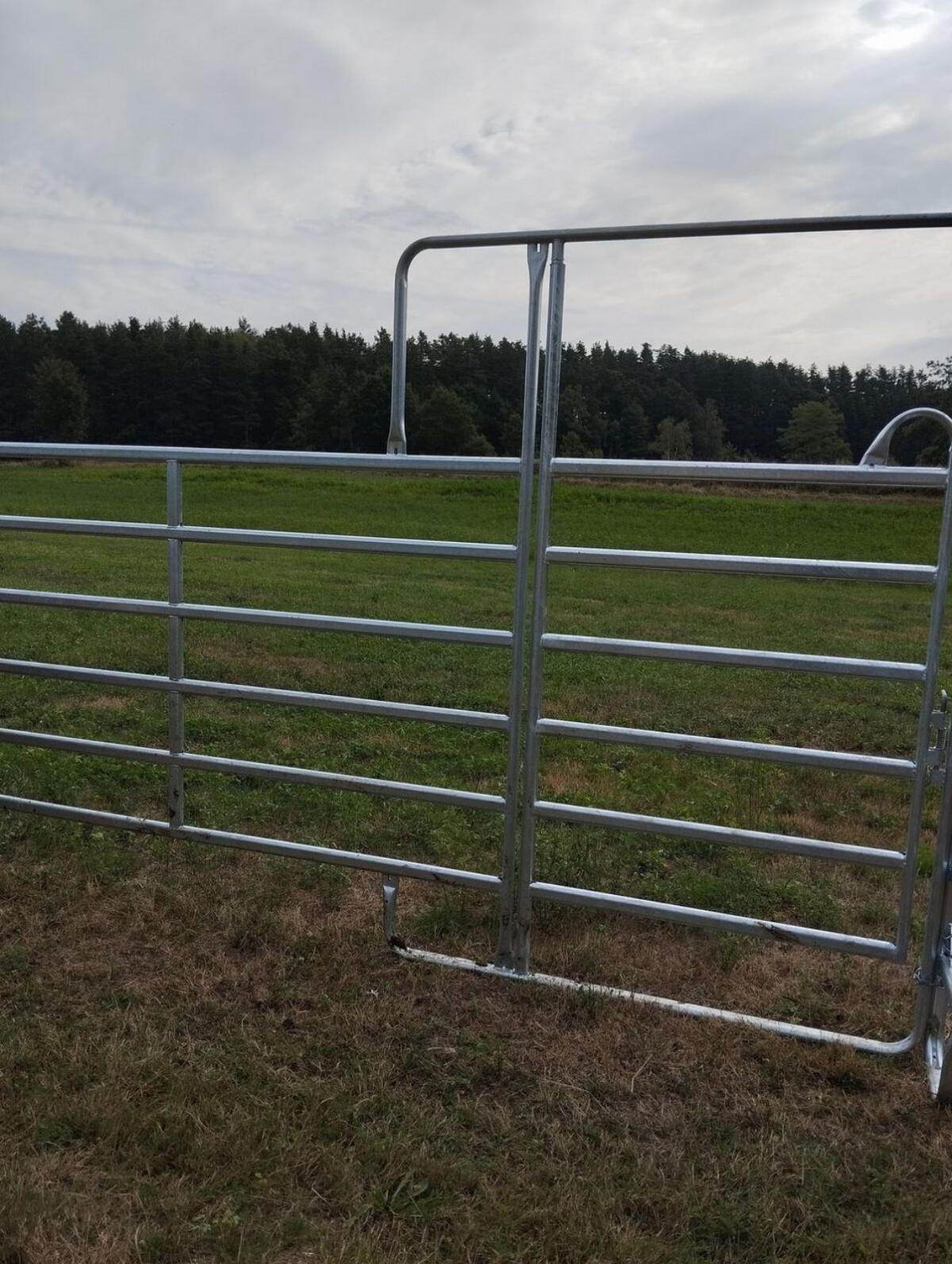 Weidepaneel Texas Standard 360 cm 3