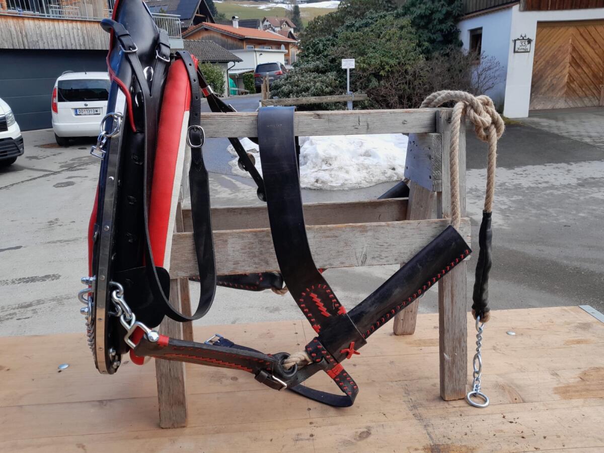 Kaltblut Doppelspänner Geschirr 3