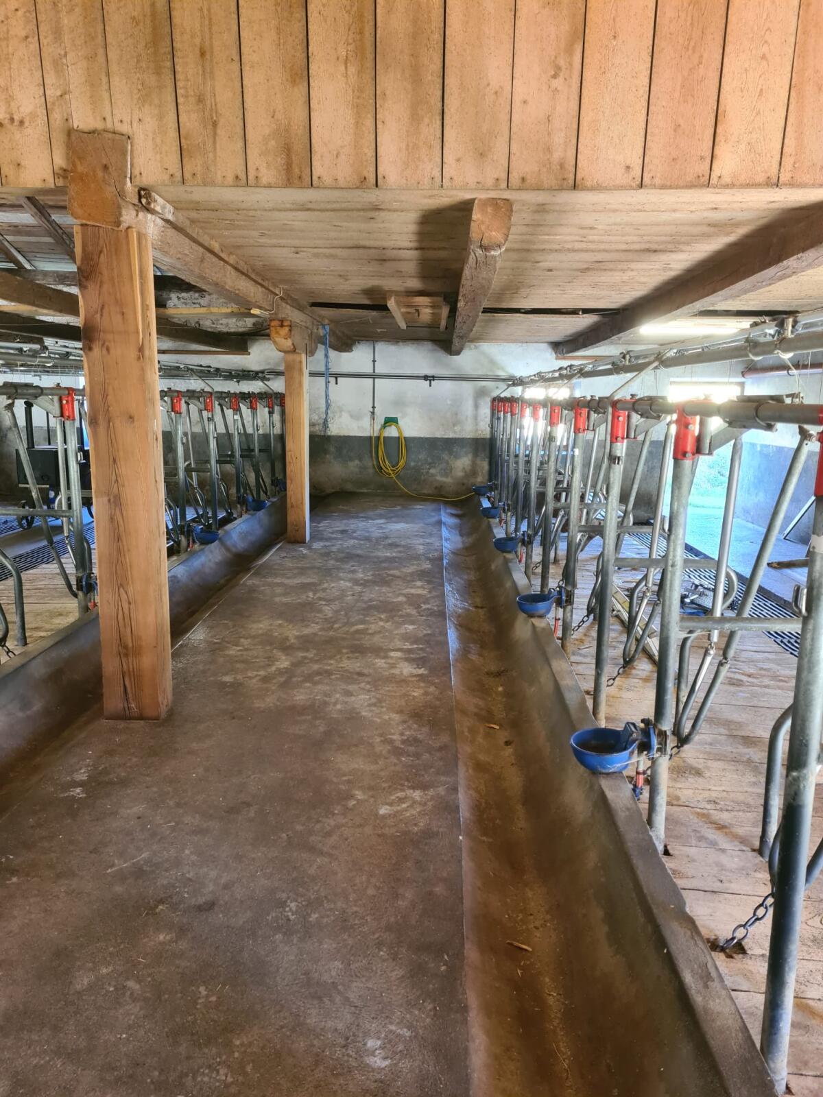 Schauer Selbstfanggitter, Rohrmelkanlage 2