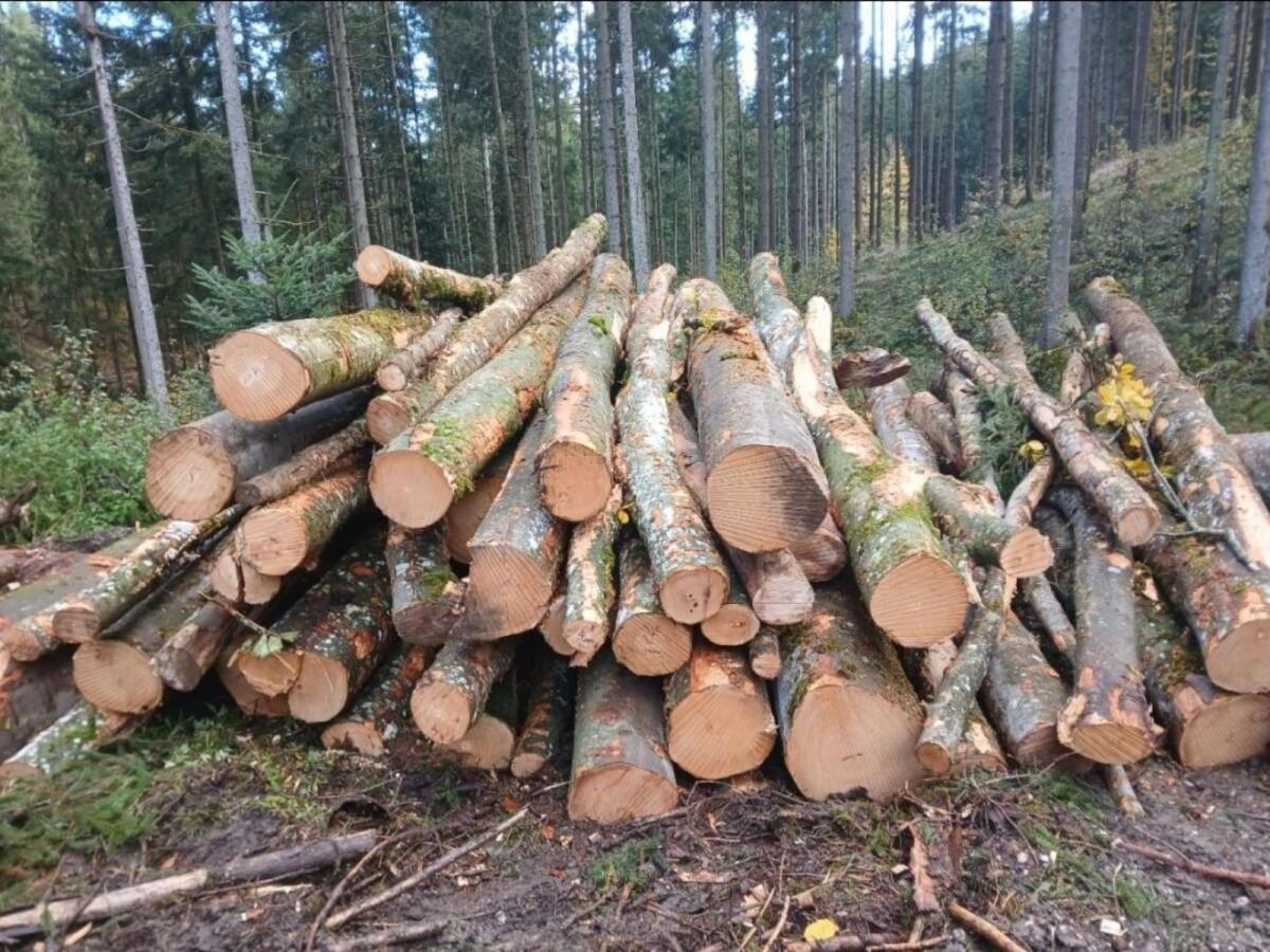 Suche Hackschnitzel Holz zur Hackguterzeugung 3