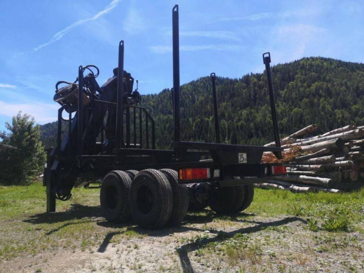 Holzanhänger, Kranwagen, Palfinger PK81Z - Eigenbau 3