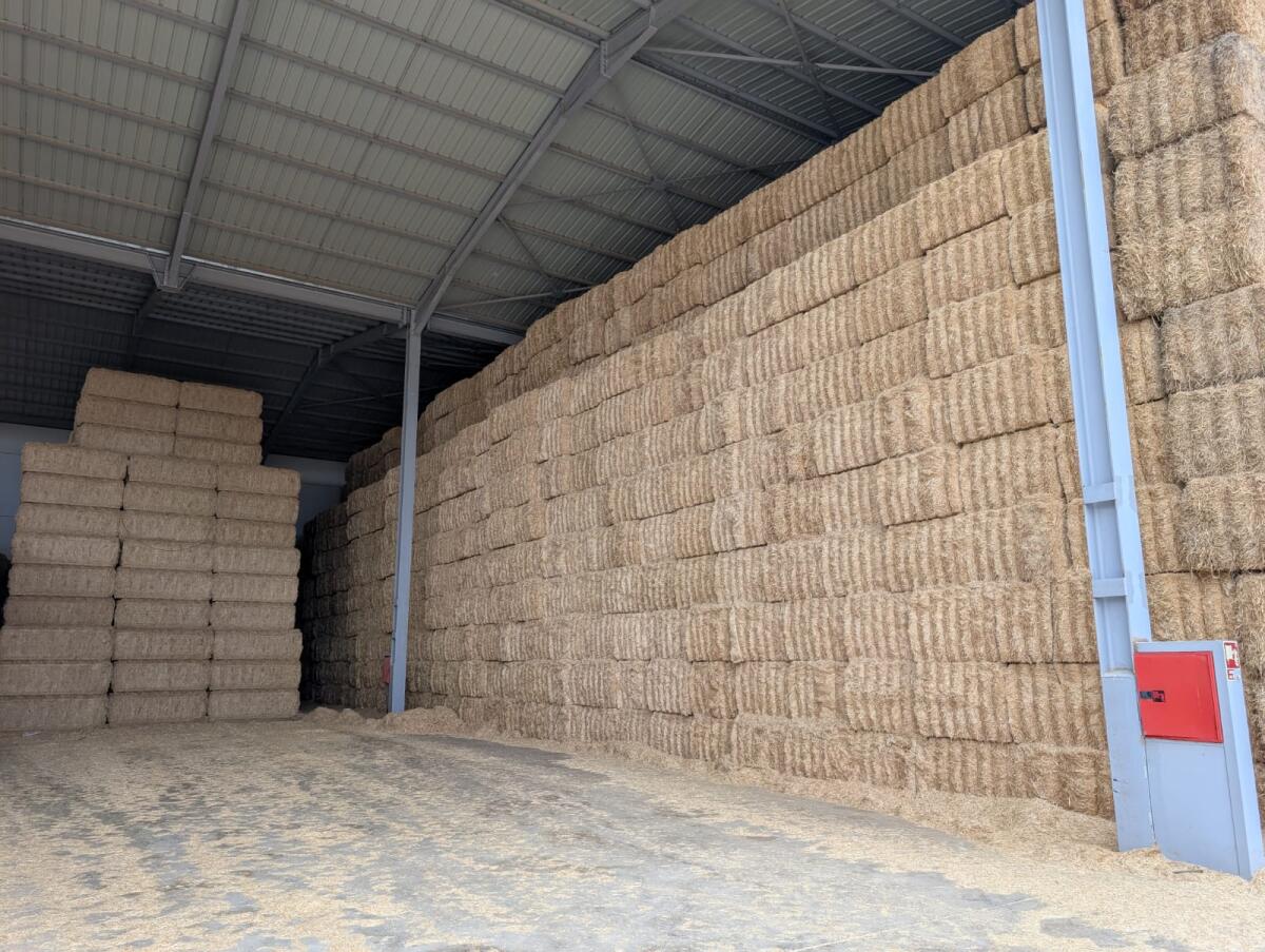 Ab sofort neu im Sortiment 3