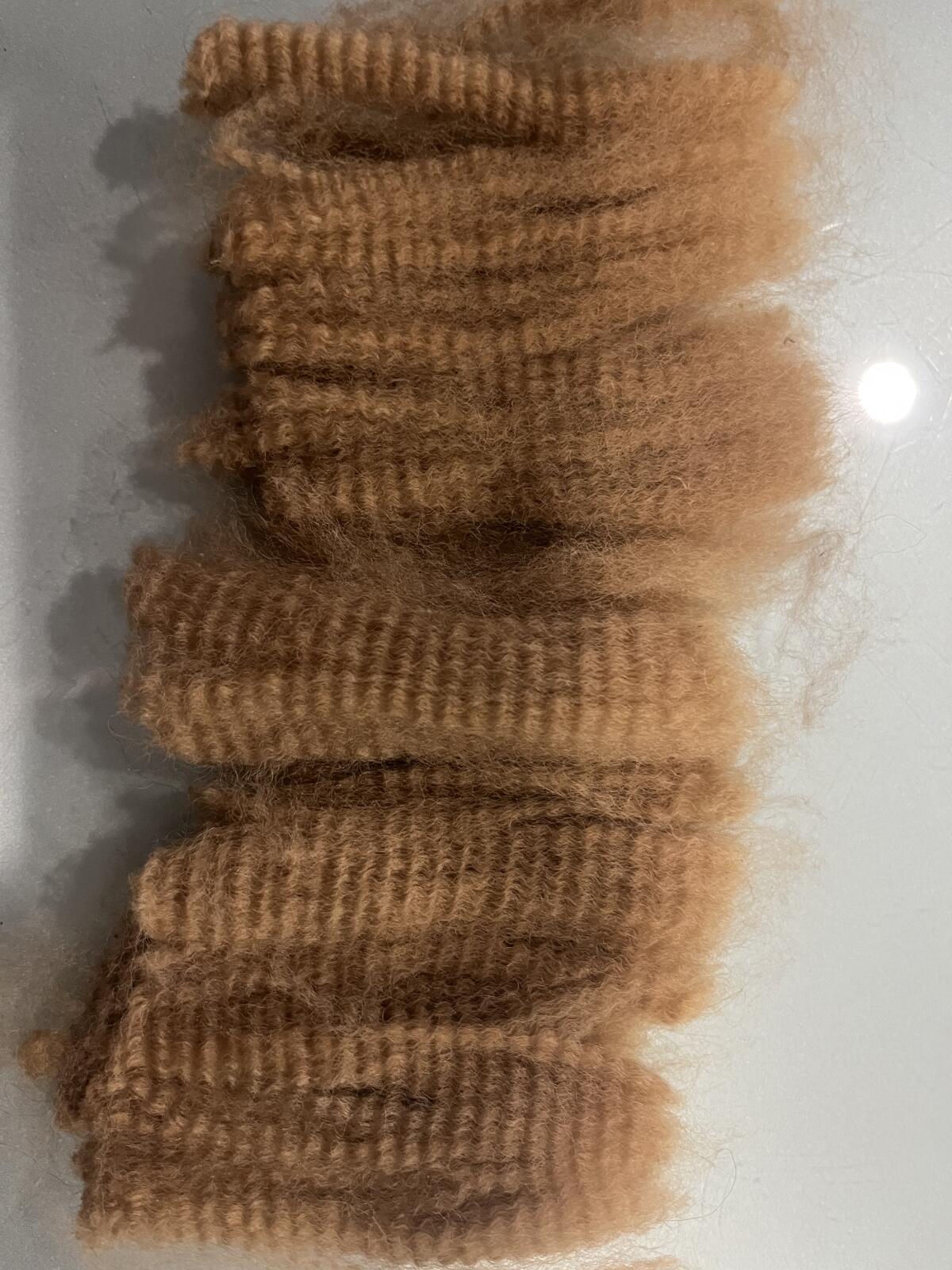 APE Poseidon`s Flash (Hengst) 3