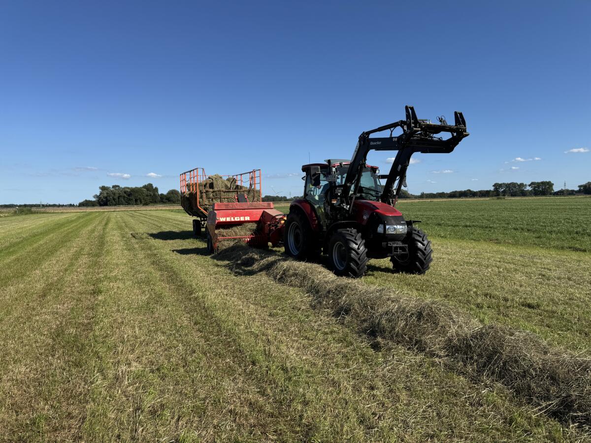 Kleine HD-Ballen Heu von 2024 und 2025 3