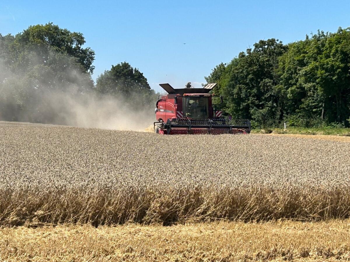 Axial Flow 5130, inkl. 6,1 m Schneidwerk 2