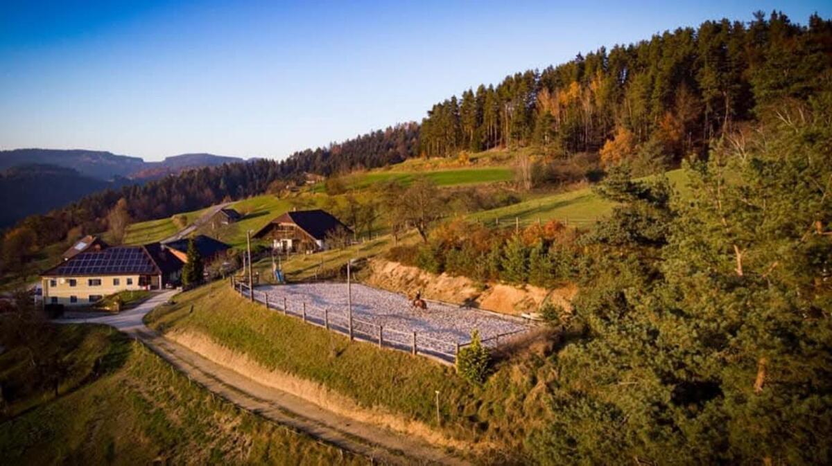 Pferdeeinstellplatz 2