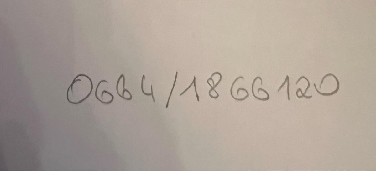 SUCHE Jungkalbinnen 2