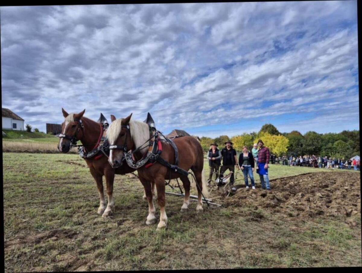 Hof mit Weiden, Stall und Haus zur Pacht oder Leibrente 3