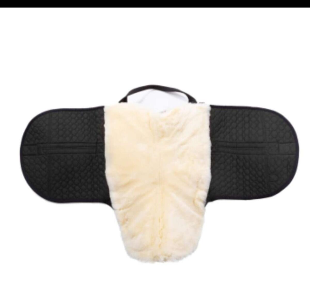 Werner Christ Fellsattel 2