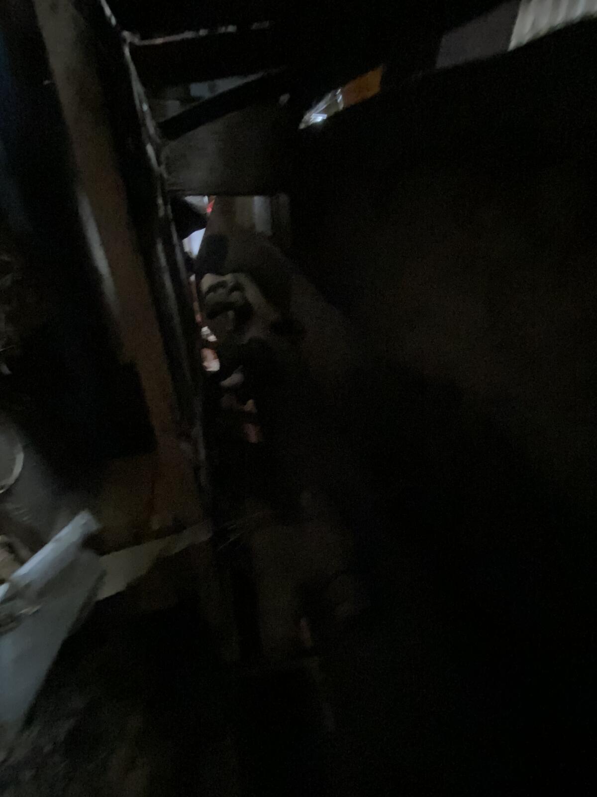 Humus Weingartenhäcksler 2