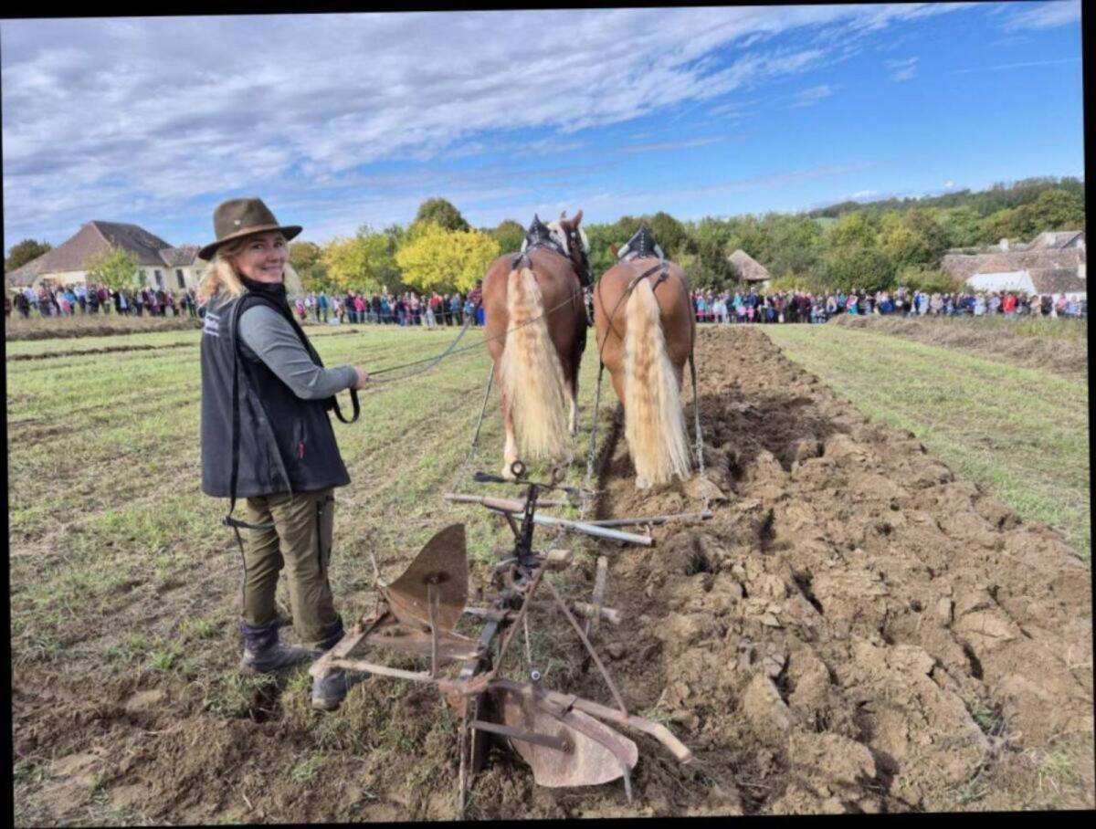 Hof mit Weiden, Stall und Haus zur Pacht oder Leibrente 2