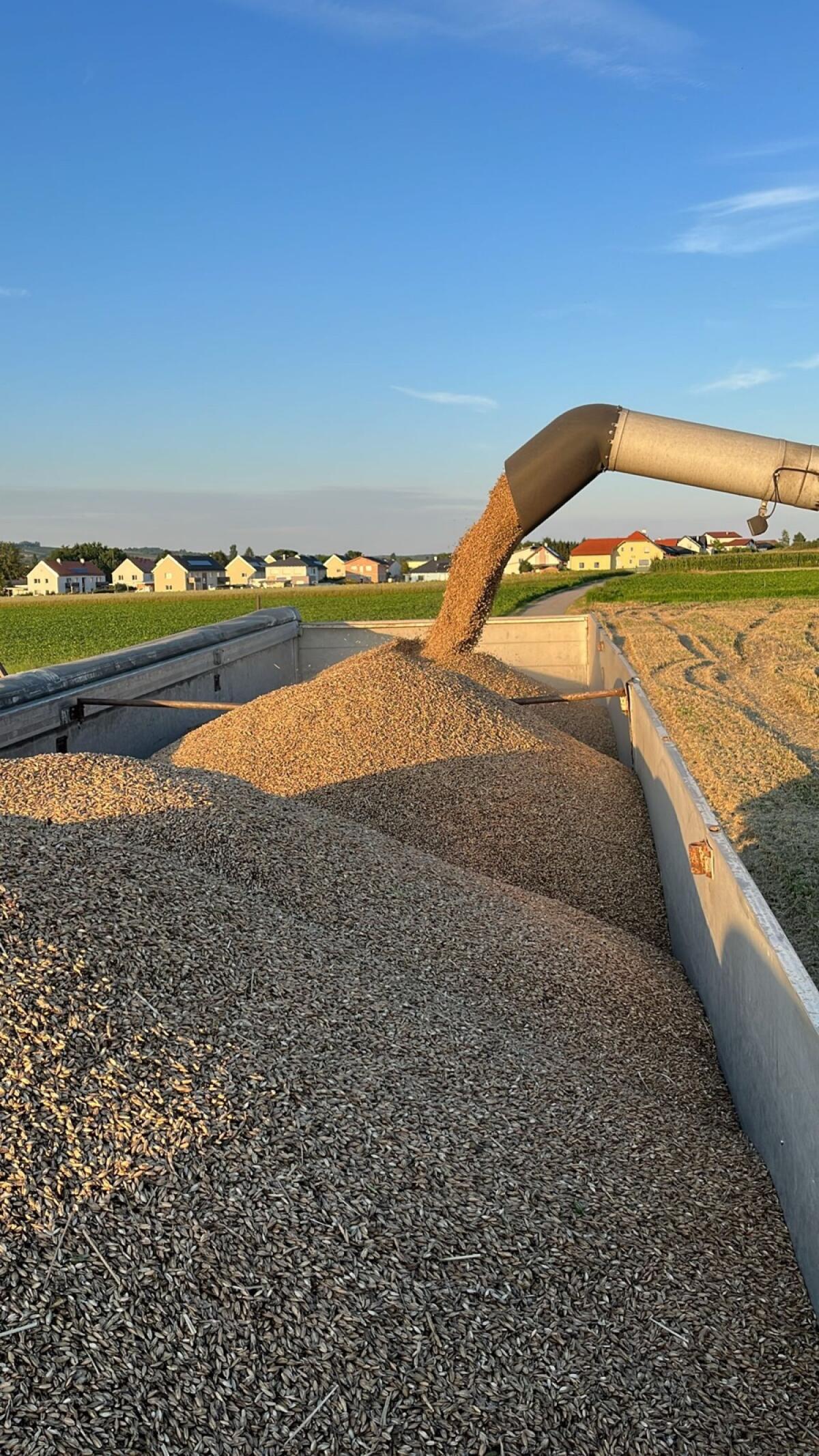 Verkaufe Lenhardt 2-Seiten-Kippauflieger 3