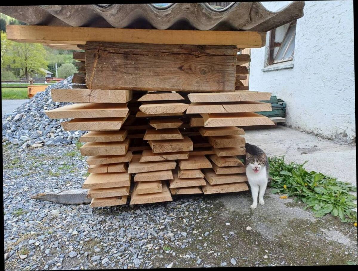 Ahornbretter ca. 0,8 m³ 3