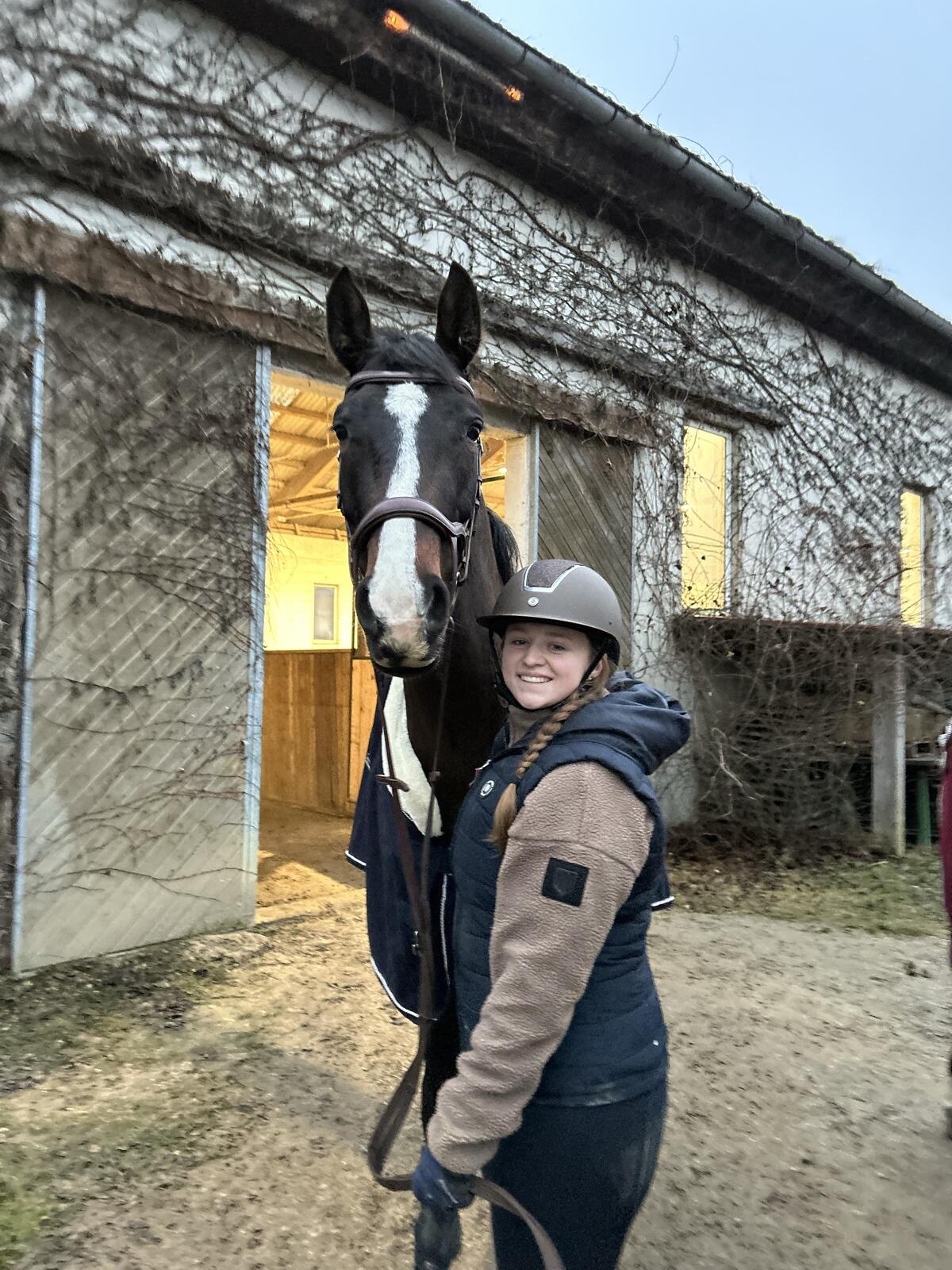 Freizeit-Ausreitpferd sucht Herzensmensch 3