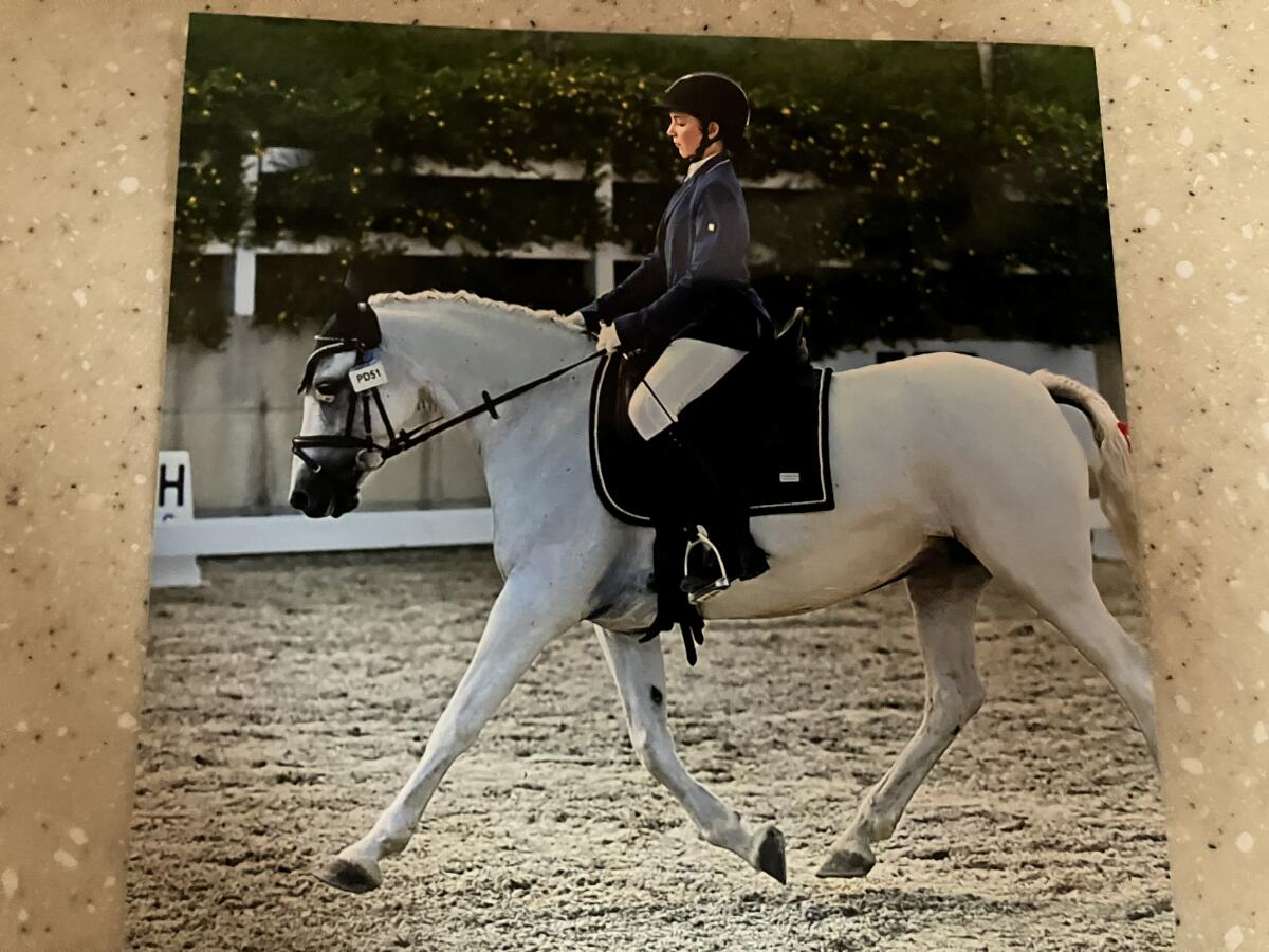 Reitcamp von Anfänger bis zum Profi 3