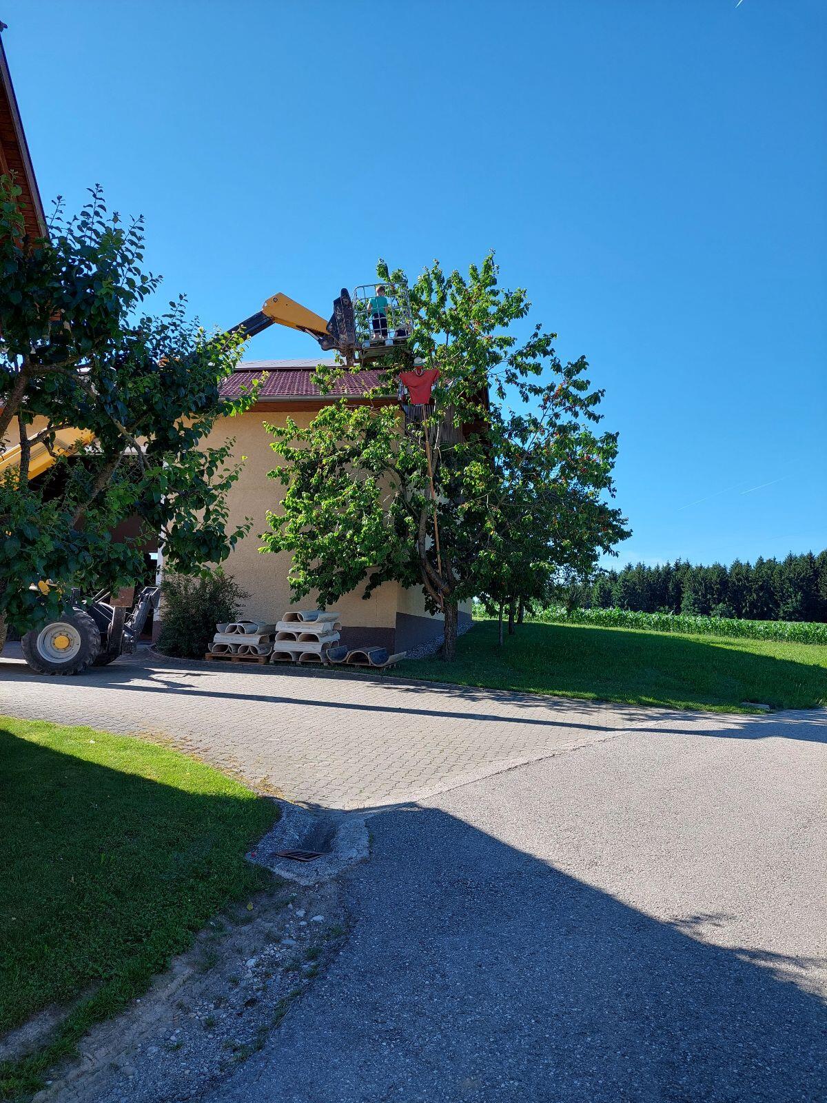 Teleskoplader zu verkaufen Haulotte 14.35 3