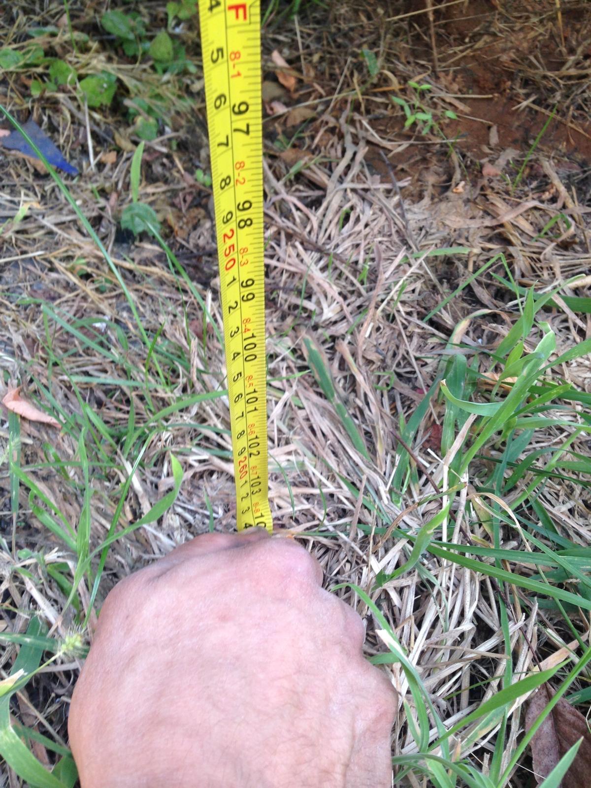 Dieselstapler - Allrad 3