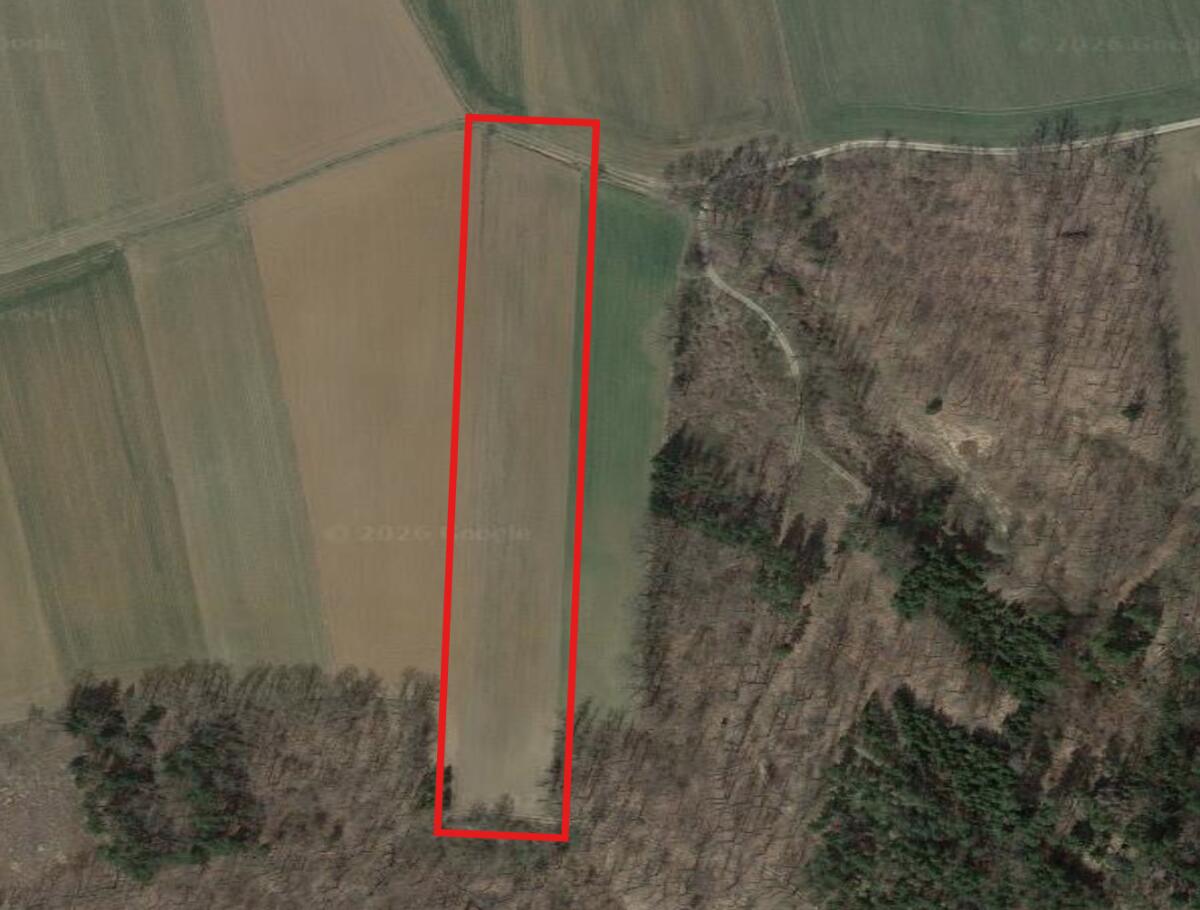 Bio Acker 1 ha (Bezirk Horn 3580) 2