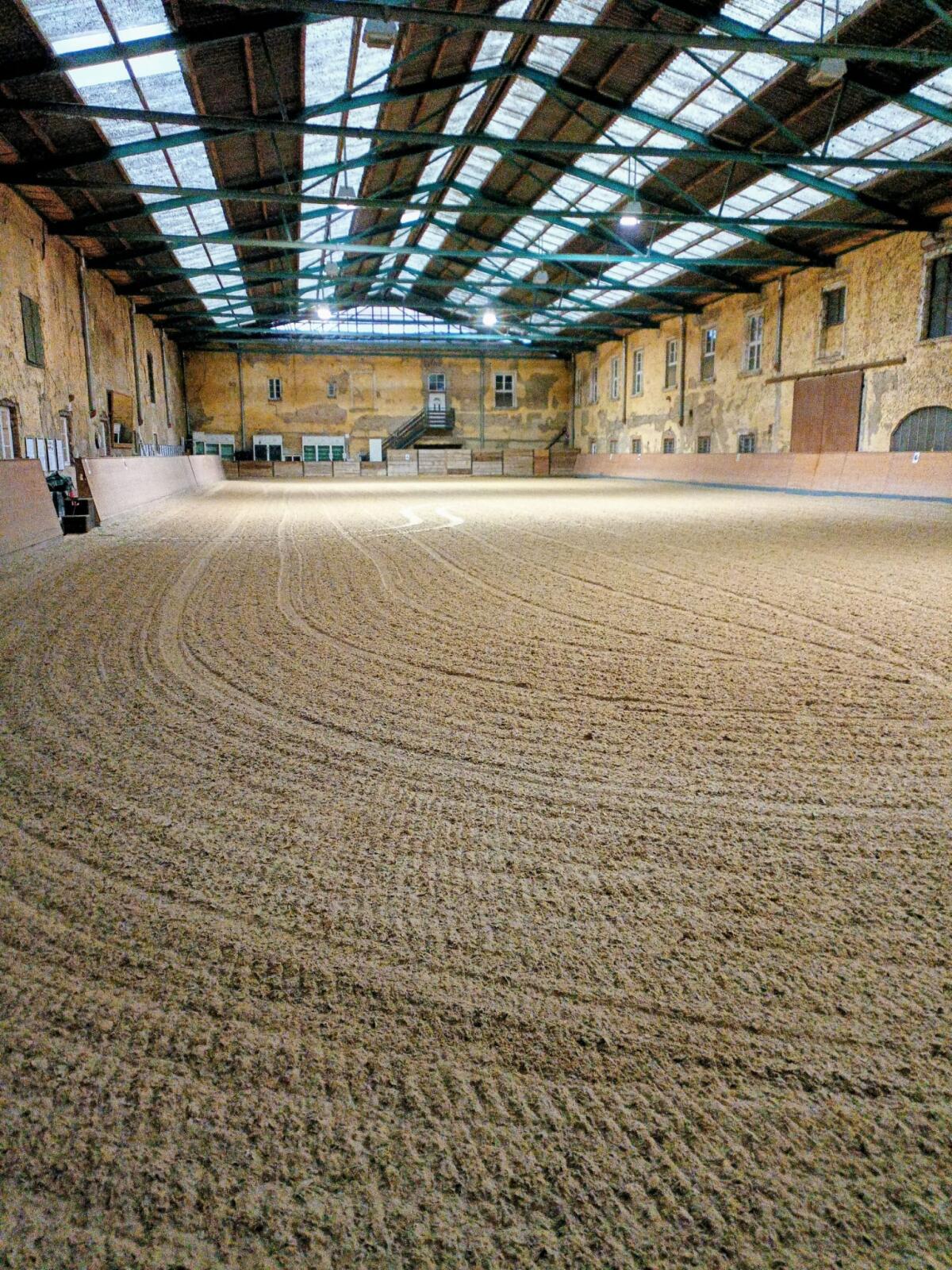 Einstellplatz mit Halle im Reitgut Schloss Niederabsdorf 2