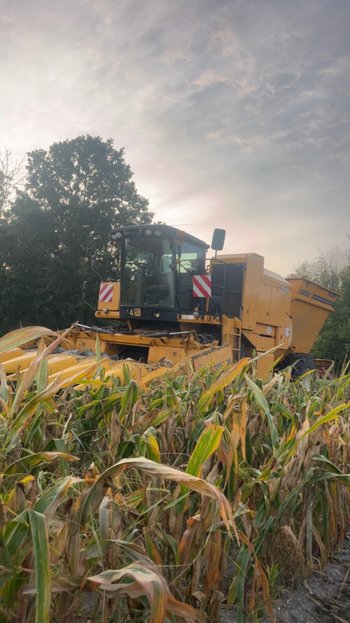 Wir suchen Verstärkung, Fahrer für Spezialerter und Traktor 3