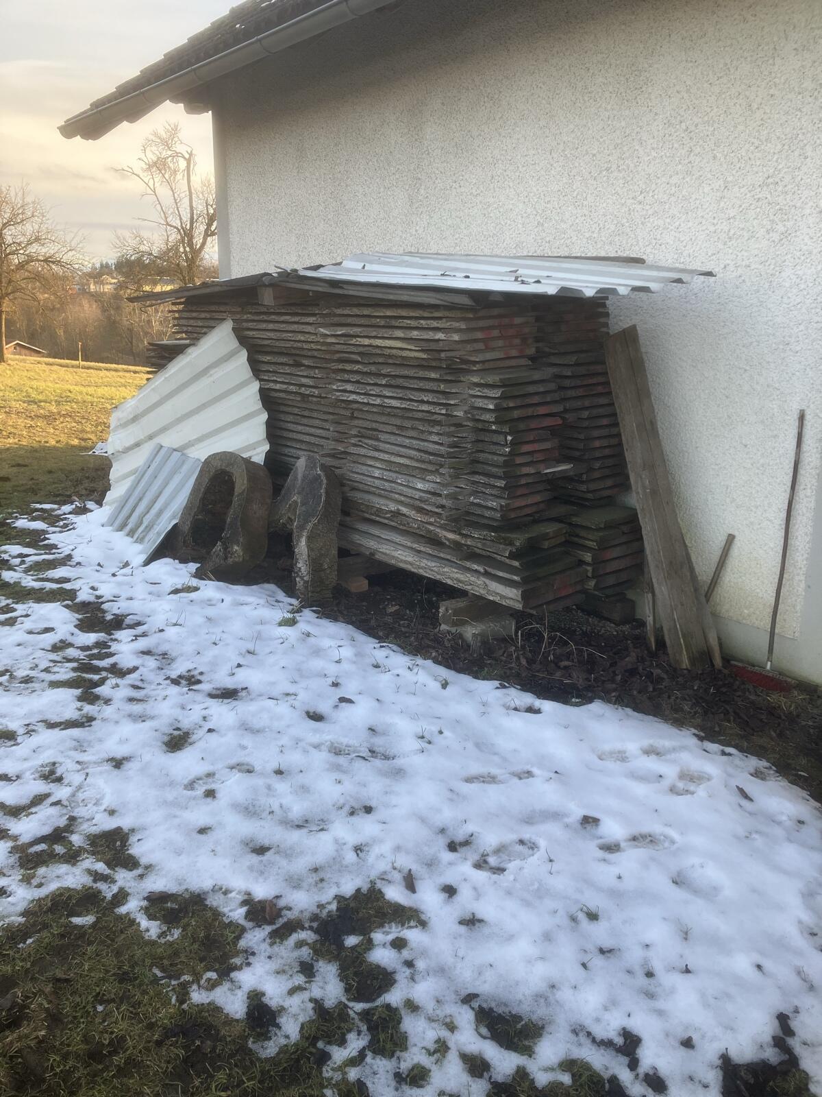 Eschenholz geschnitten 2