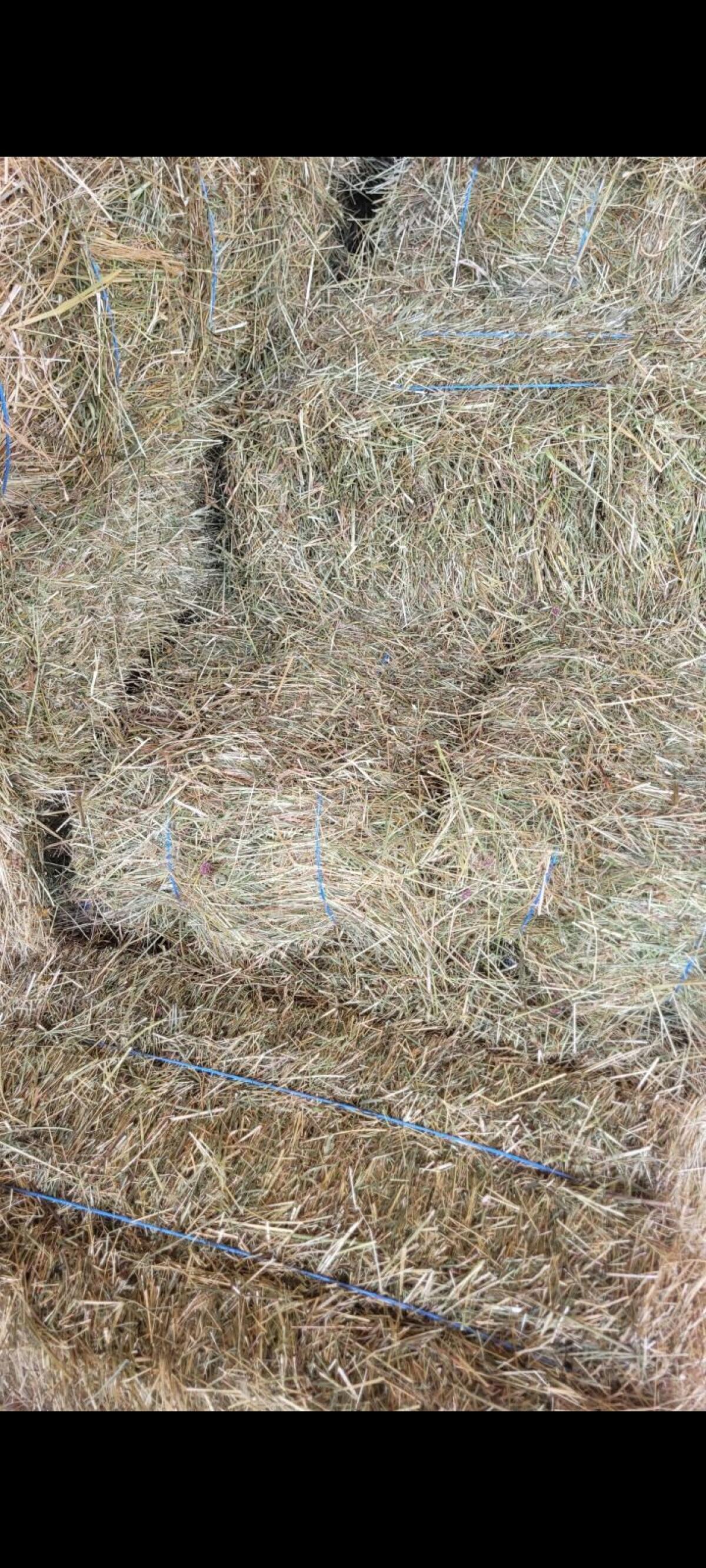 Heu in Kleinballen 3