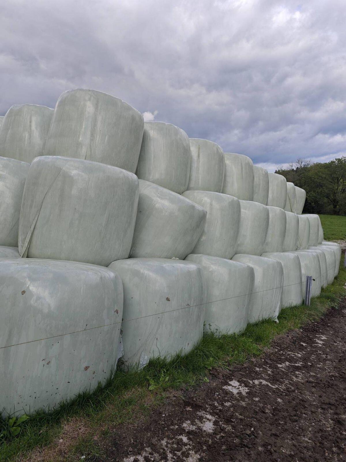Siloballen zu verkaufen 2