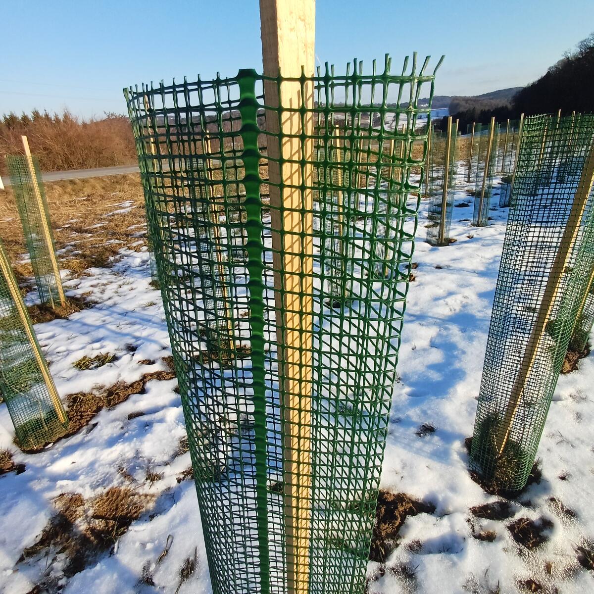 Forstschutzmaterial, Markierpfähle, Baumschutzhüllen 3