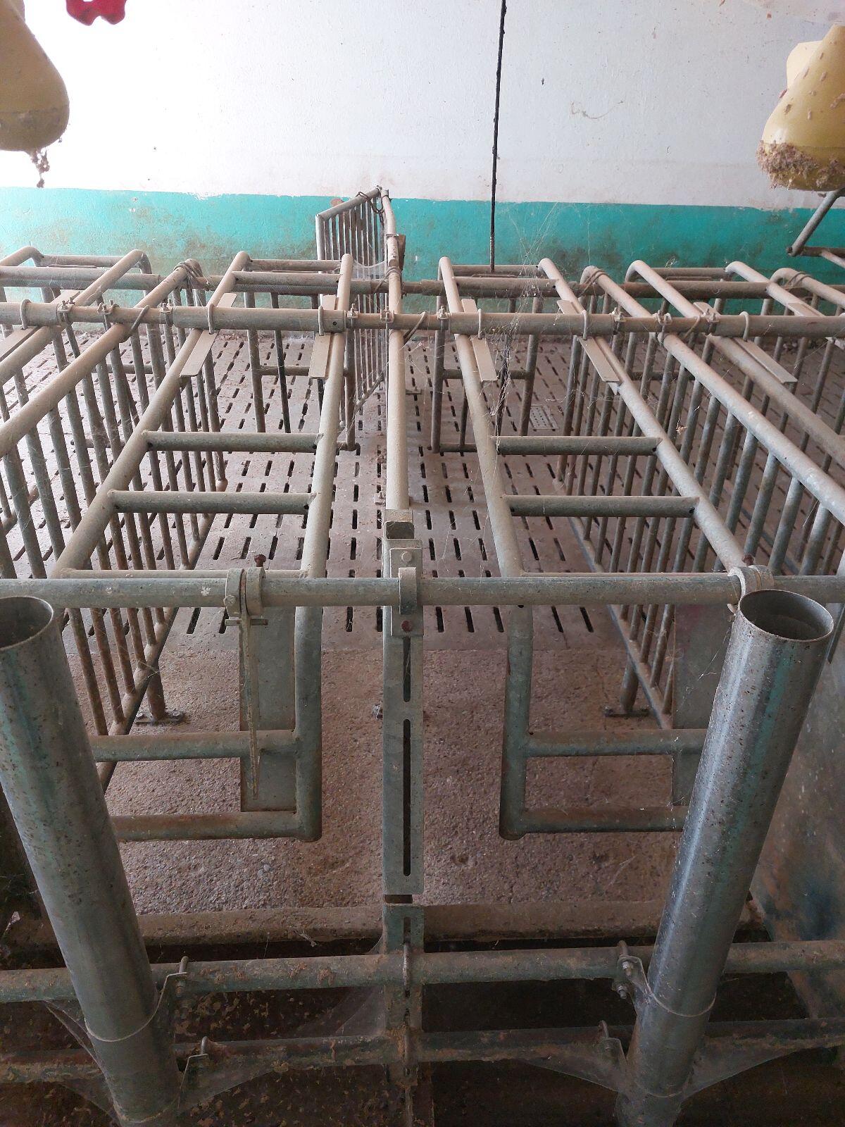 Aufstallung Wartestall Selbstfangstand Fa. Bräuer 3