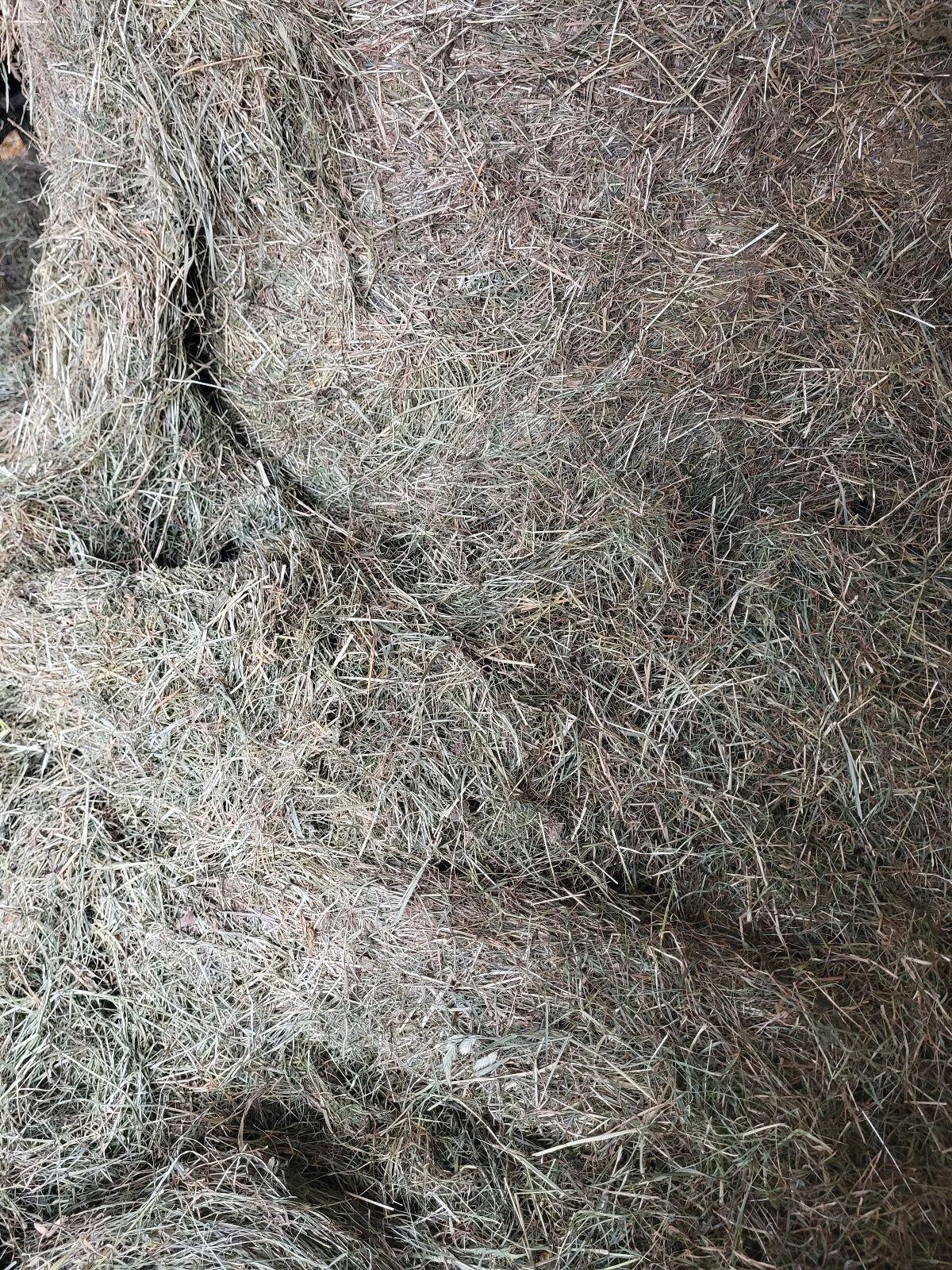 Heuballen zu verkaufen 2