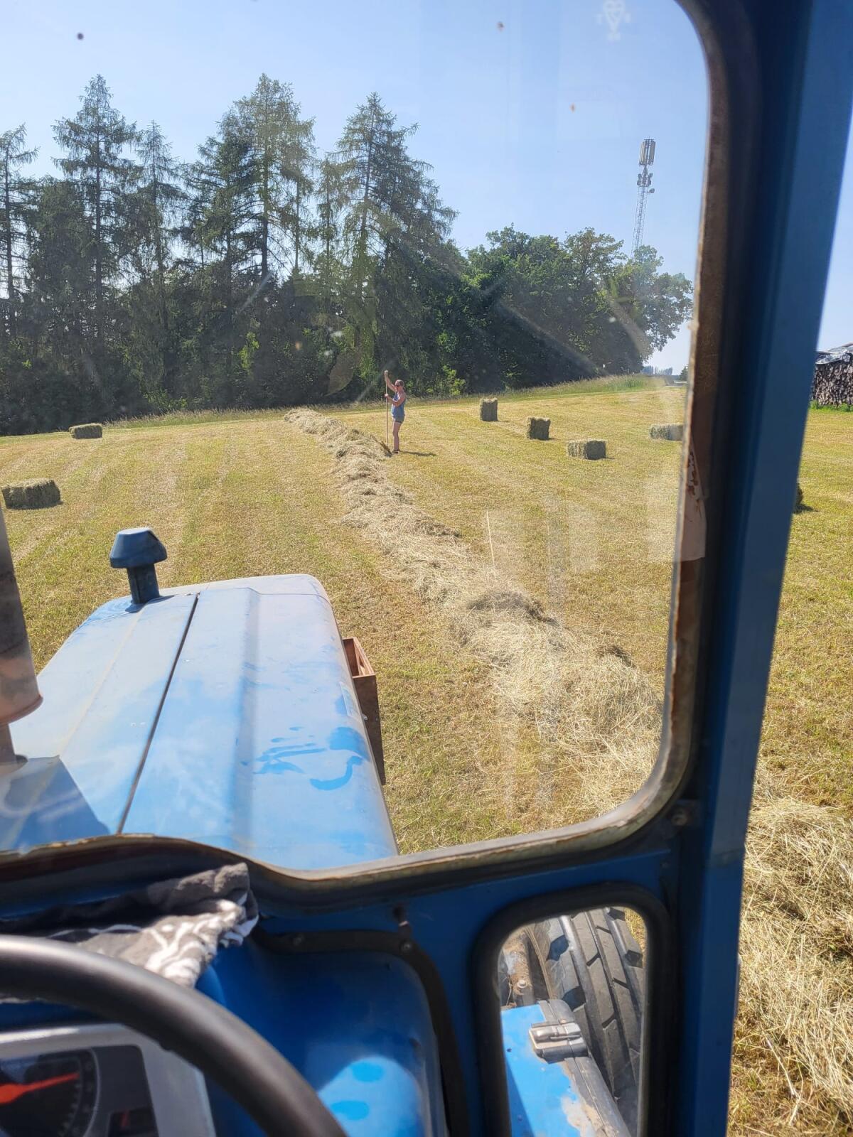 Bio Heu Kleinballen 2