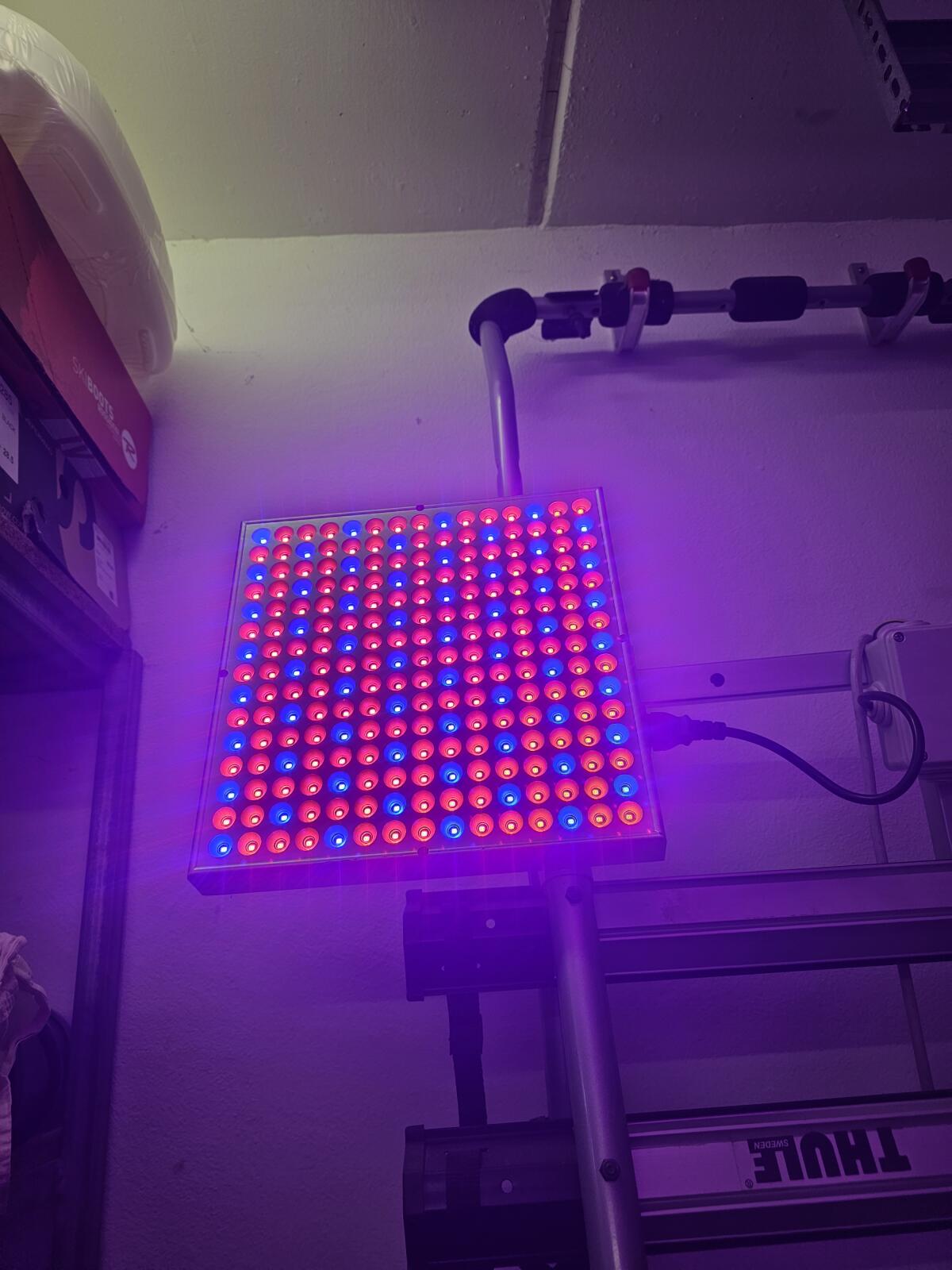 Verkaufe Wachstum LED für Pflanzen für Aquaponik, 2 Stk. 3